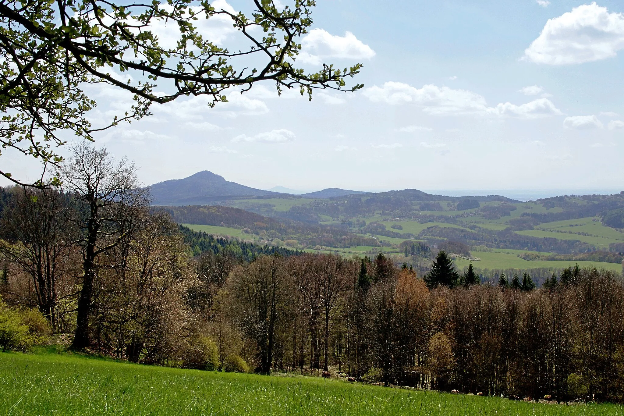 Photo showing: Buková hora, 2017