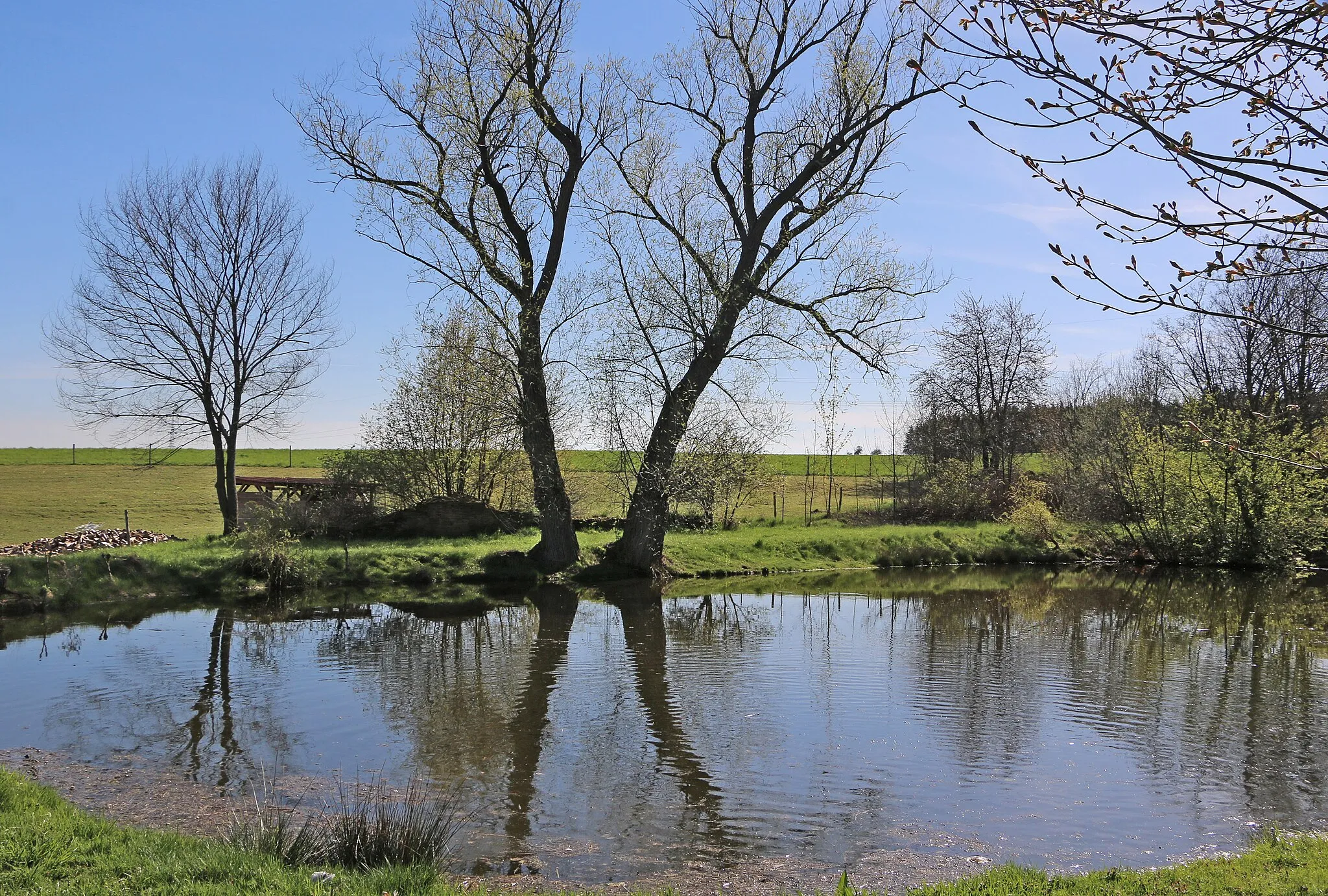 Photo showing: South pond in Strahov, part of Horní Kozolupy, Czech Republic.