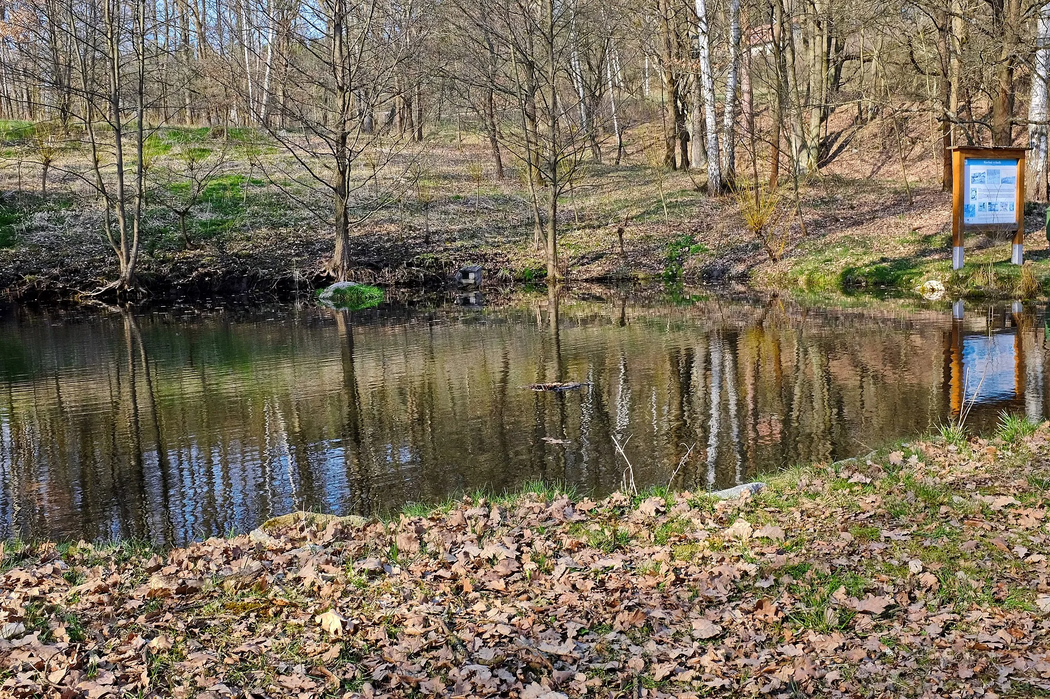 Photo showing: Ostroh, část obce Poustka, Kachní rybník, okres Cheb