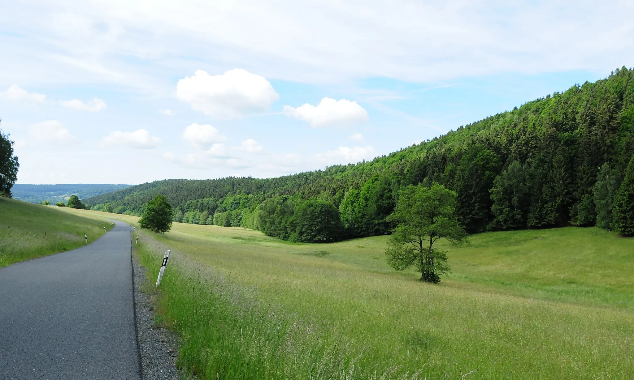 Photo showing: Markneukirchen: Taleinschnitt des Gopplasgrüner Baches oberhalb von Gopplasgrün (Vogtlandkreis, Freistaat Sachsen, Deutschland)