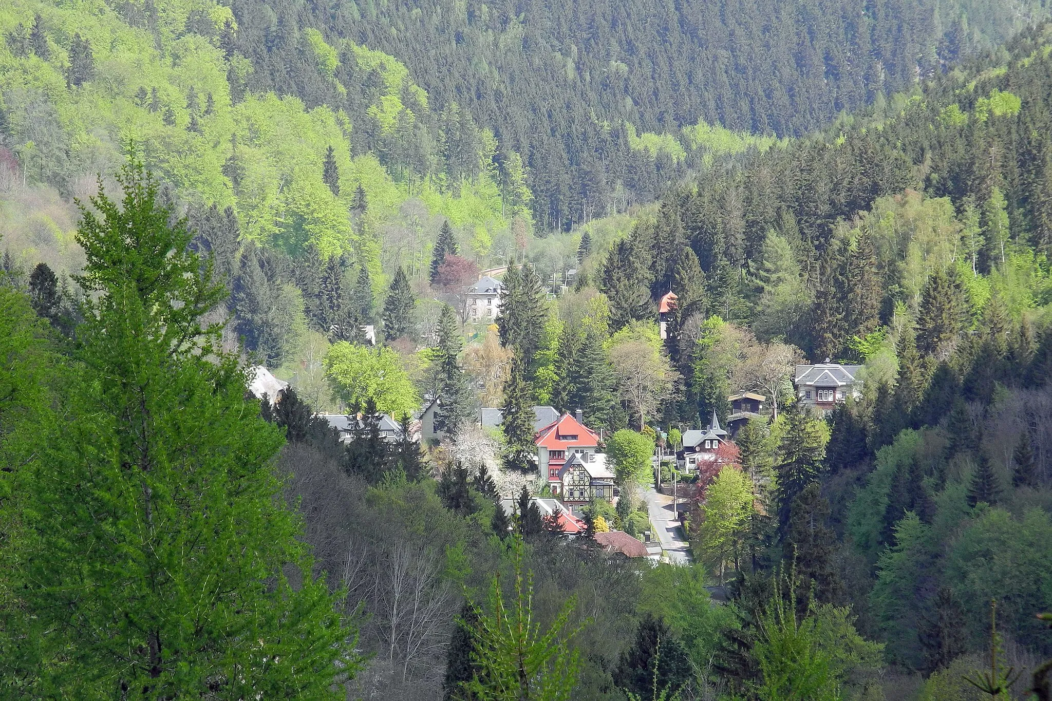 Photo showing: Blick vom Aussichtspunkt Steinmeer am Spitzberg auf Kipsdorf im Osterzgebirge