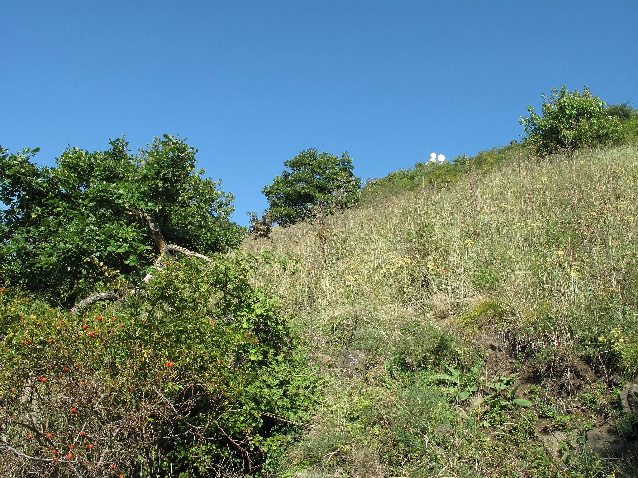 Photo showing: National Nature Reserve Lovoš with warm oak forest.