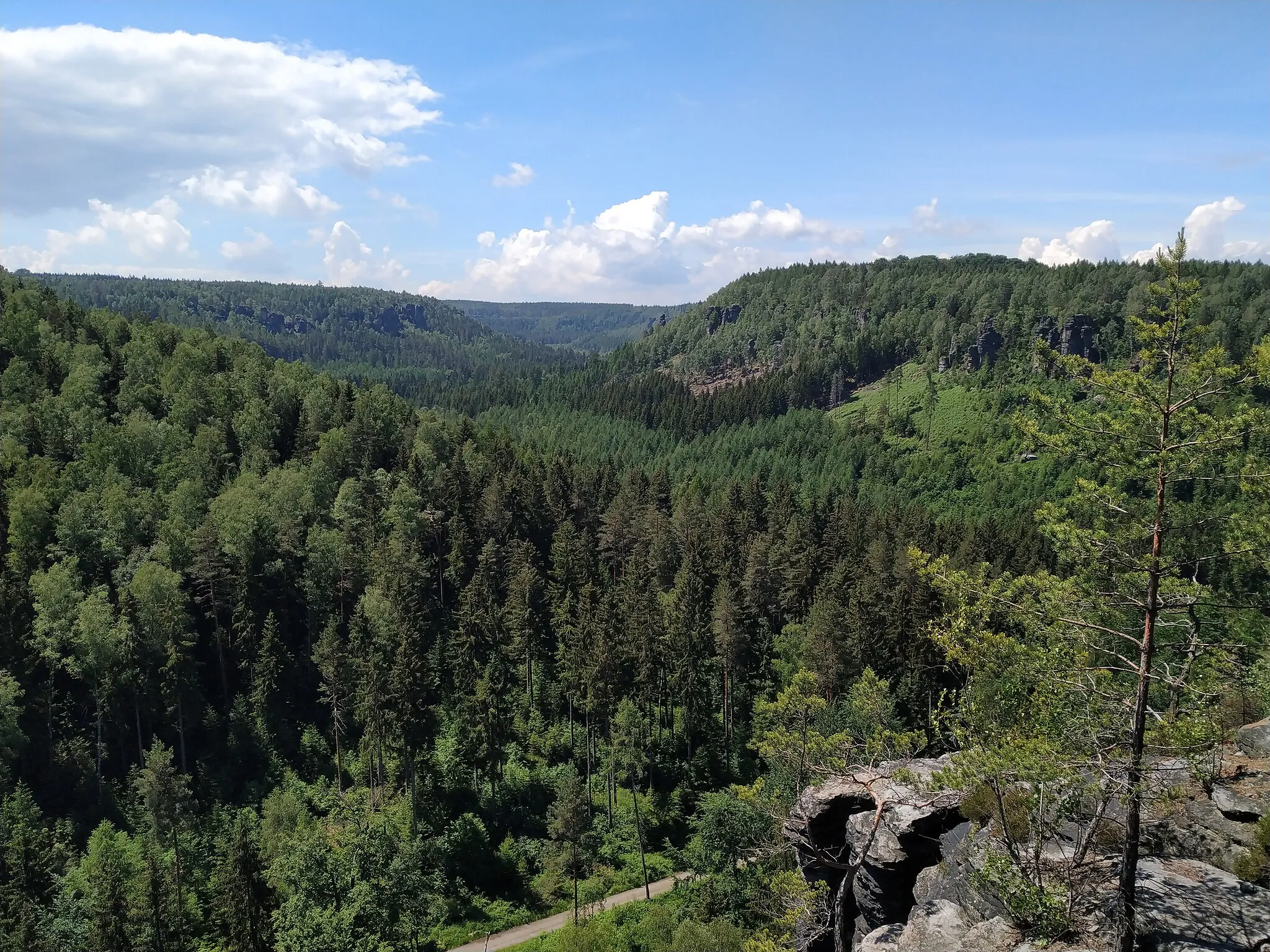 Photo showing: Aussicht von einem Kletterfelsen nur unweit des Forststeiges auf das Bielatal nach Süden