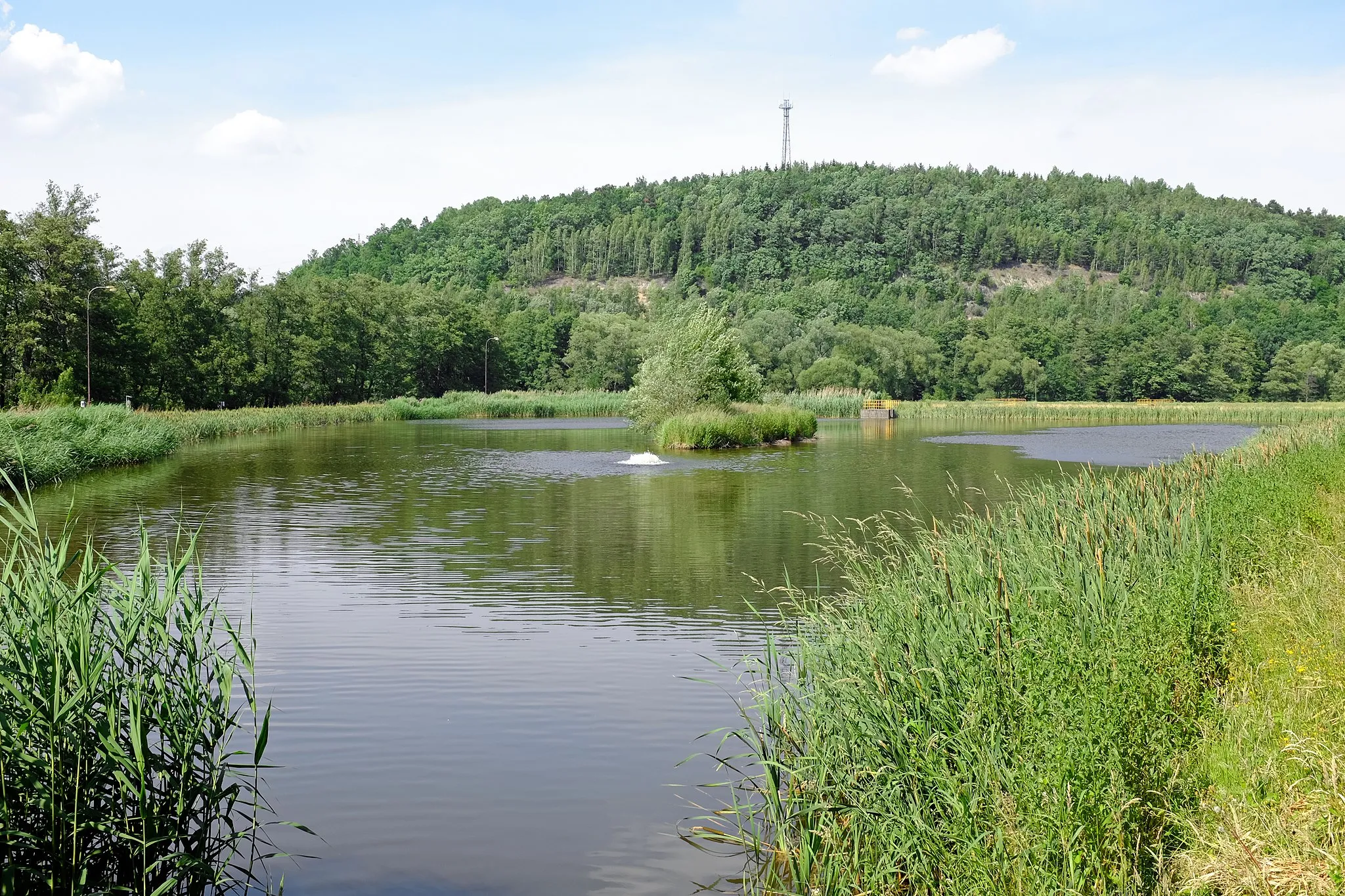 Photo showing: Těšovice, rybník u řeky Ohře, okres Sokolov