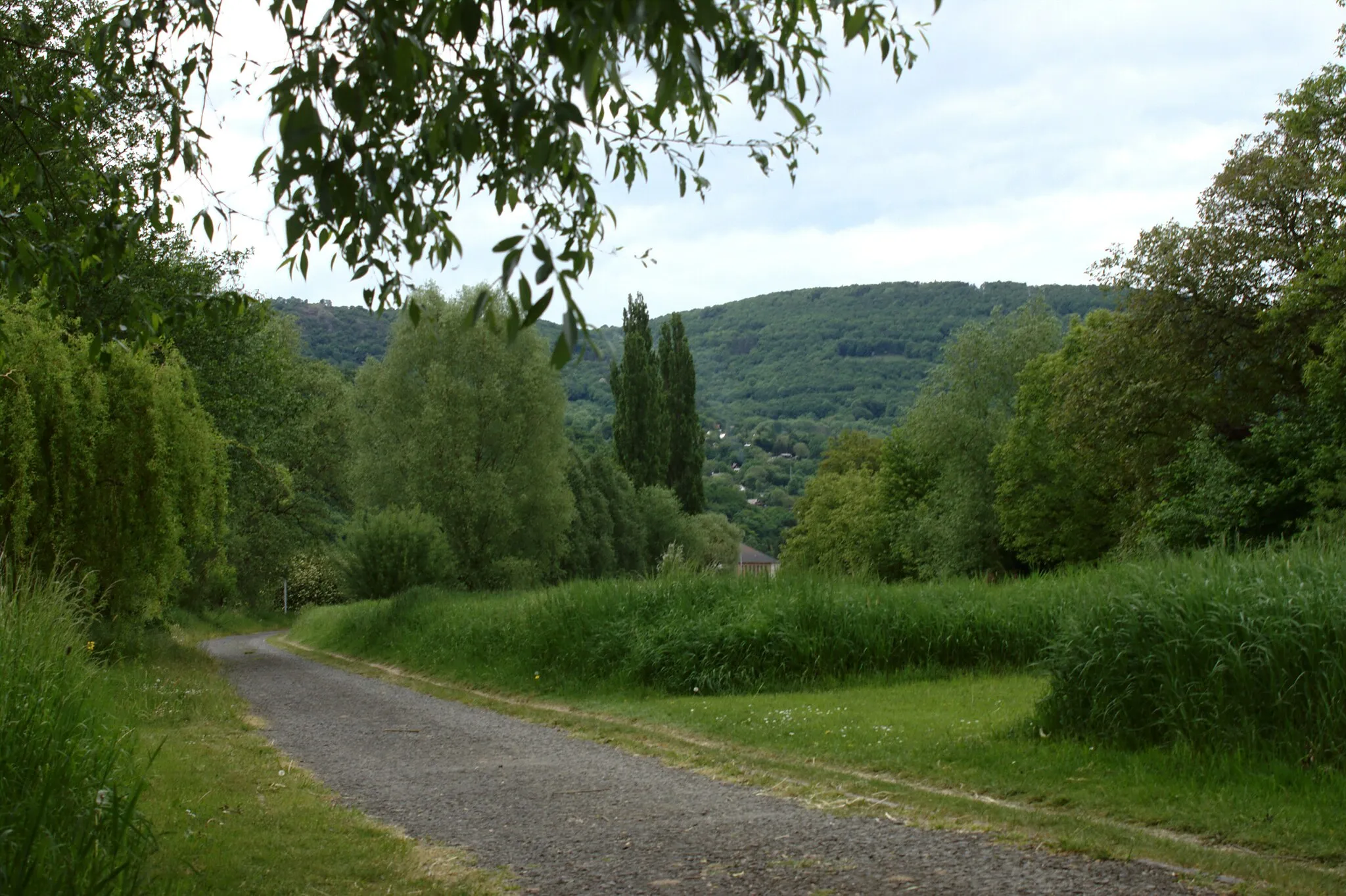 Photo showing: A cycling path in Církvice in Ustí nad Labem