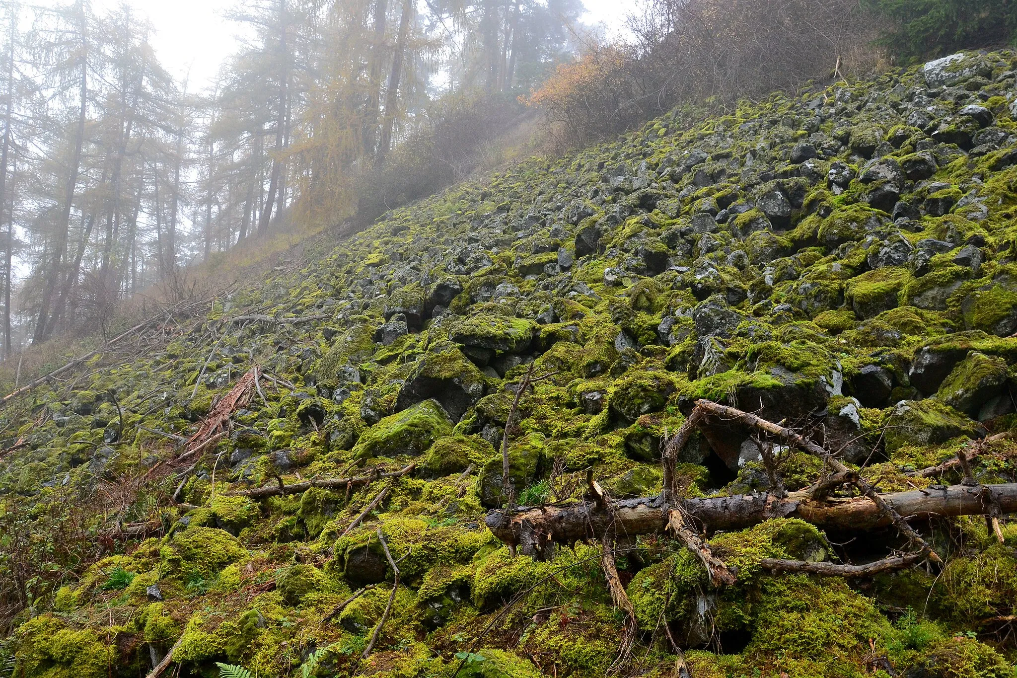 Photo showing: Špičák (611 m) - kamenné moře pod vrcholem