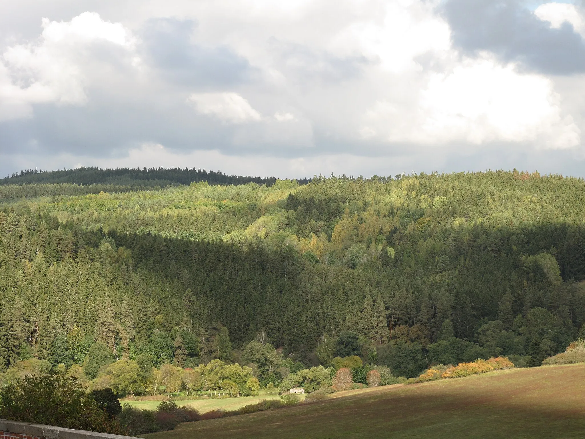 Photo showing: Forests in the vicinity of Rabštejn nad Střelou. District of Pilsen-sever, Czech Republic.