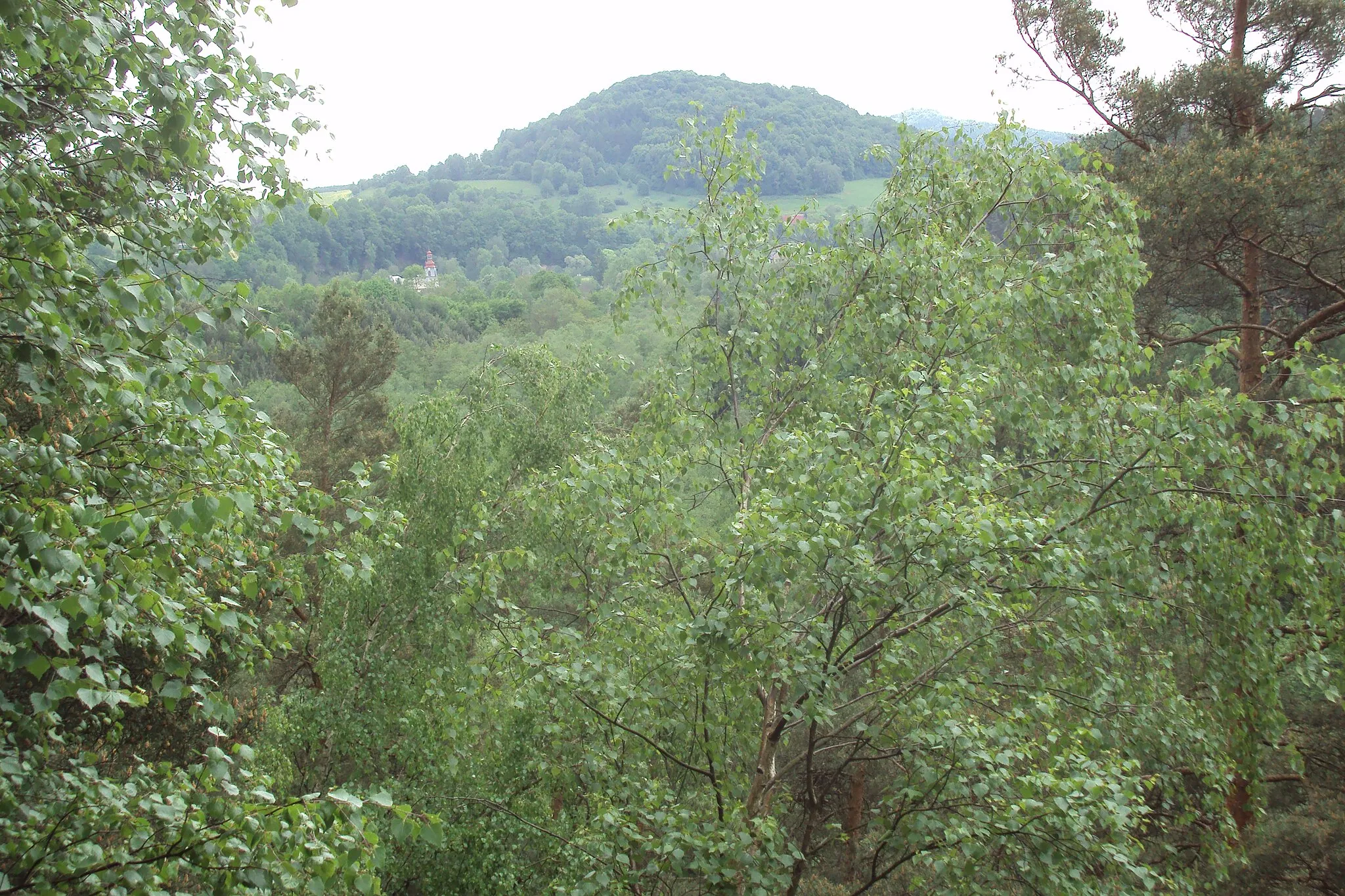 Photo showing: Pohled z vrcholu Velenických Laviček na obec Velenice, vidět jen kostel,  a nad ním Velenický kopec