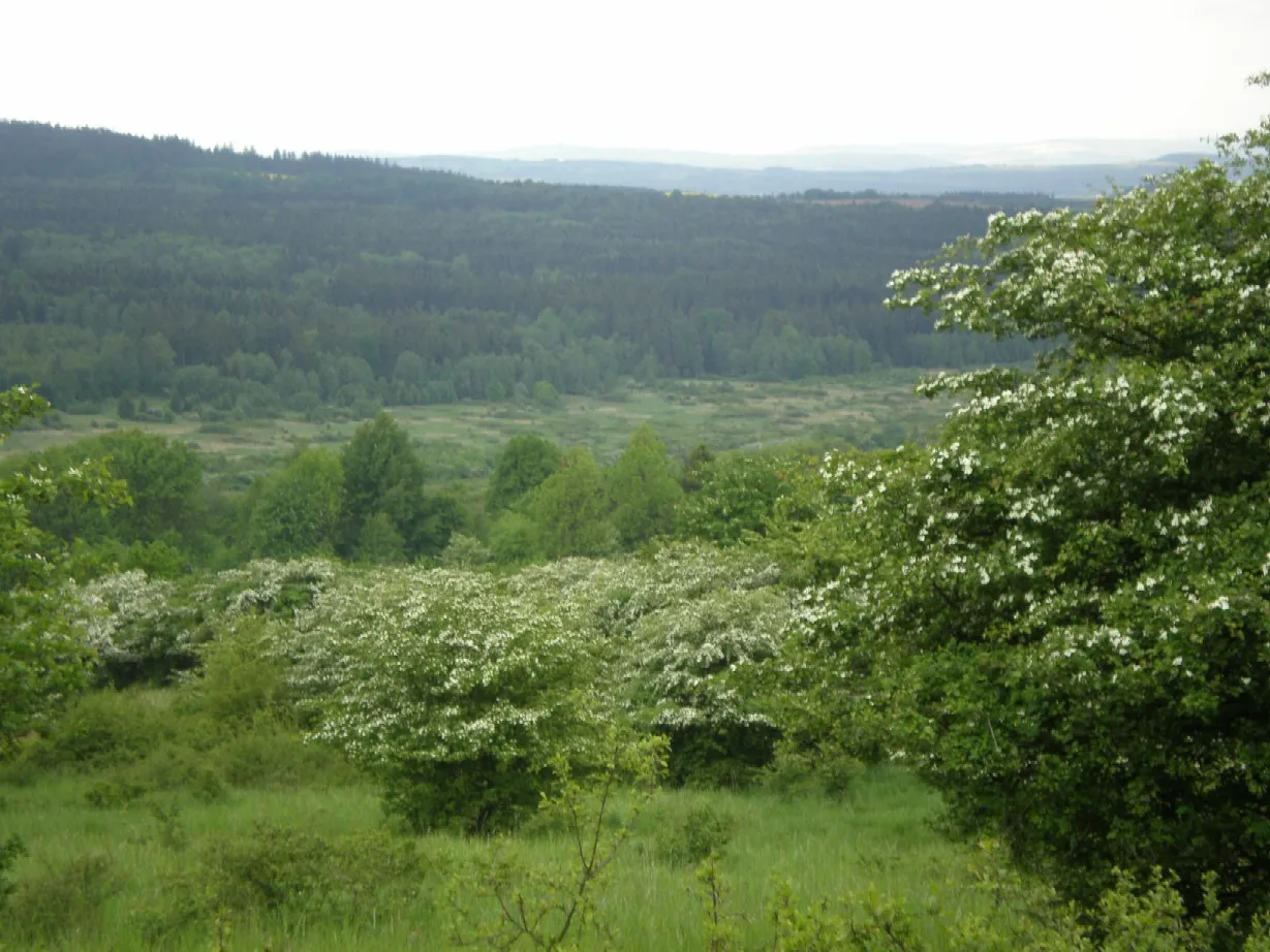 Photo showing: Pohled z úbočí Palcíře (725 m) směrem k vrchu Okrouhlík (707 m) do míst, kde stávala zlikvidovaná obec Kolvín.
