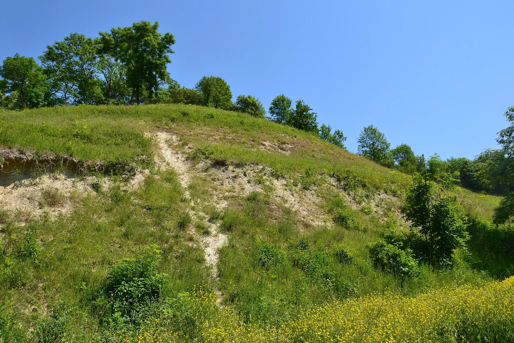 Photo showing: Jižní část PR Trupelník