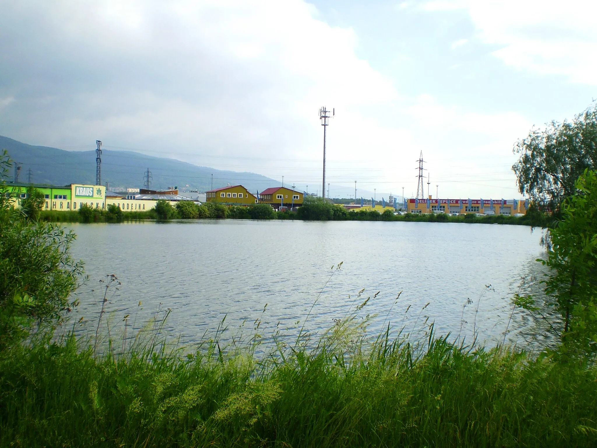 Photo showing: Rybník poblíž silnice do Srbic, mezi právě Srbicemi a Sobědruhy.