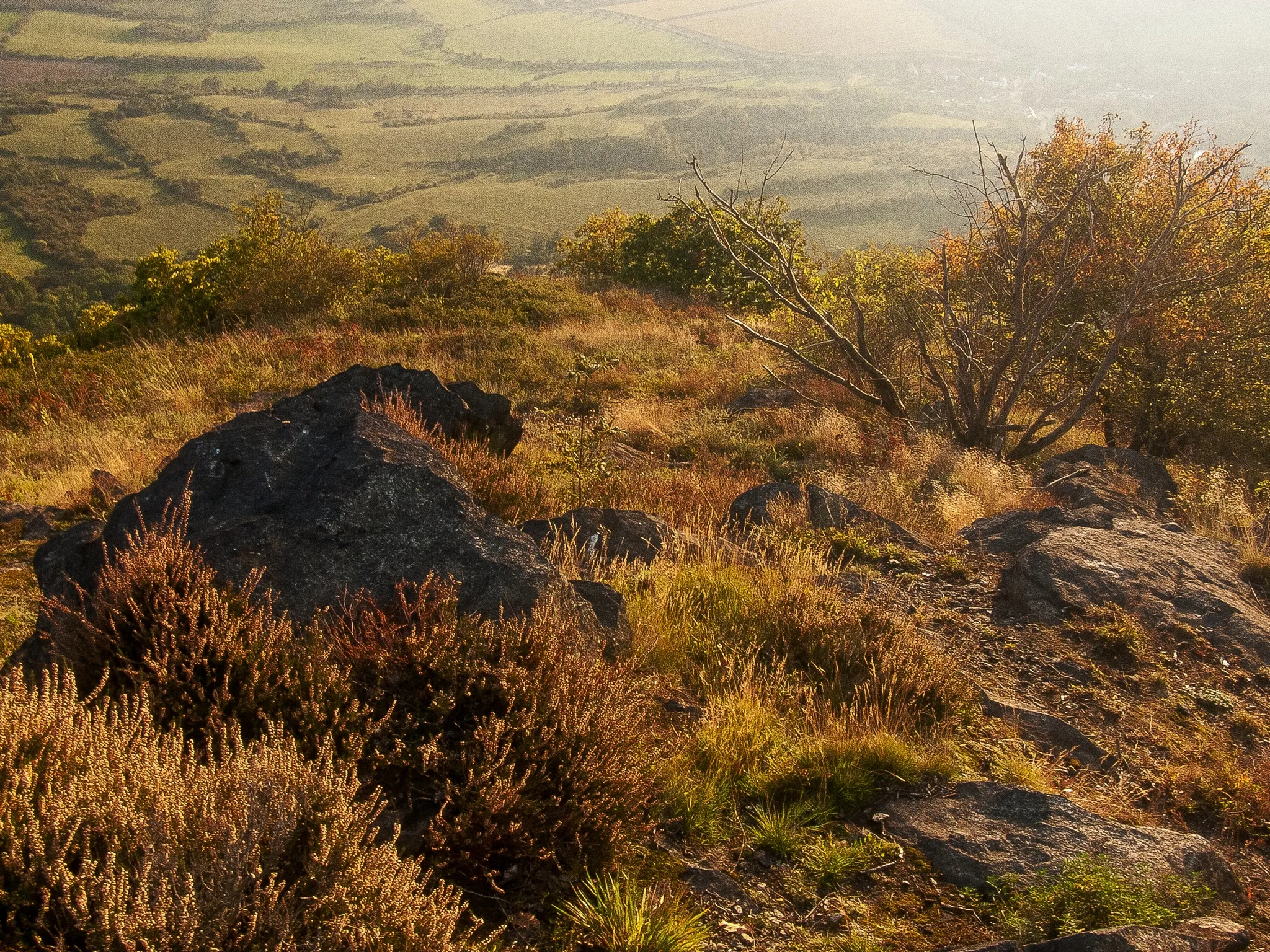 Photo showing: Vegetation on the phonolite mountain Bořeň.