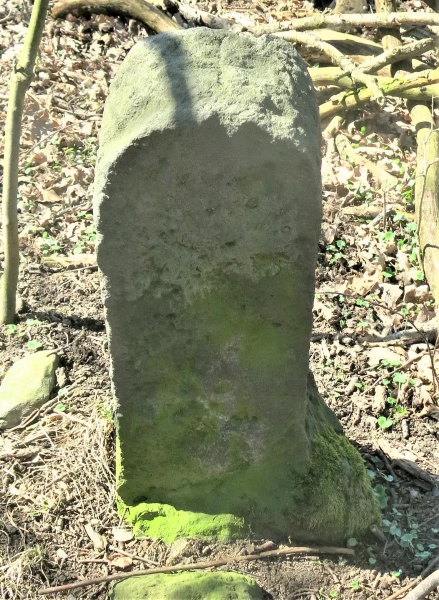 Photo showing: Boundary stone in Velké Chvojno in Ústí nad Labem District – entry no. 43822.