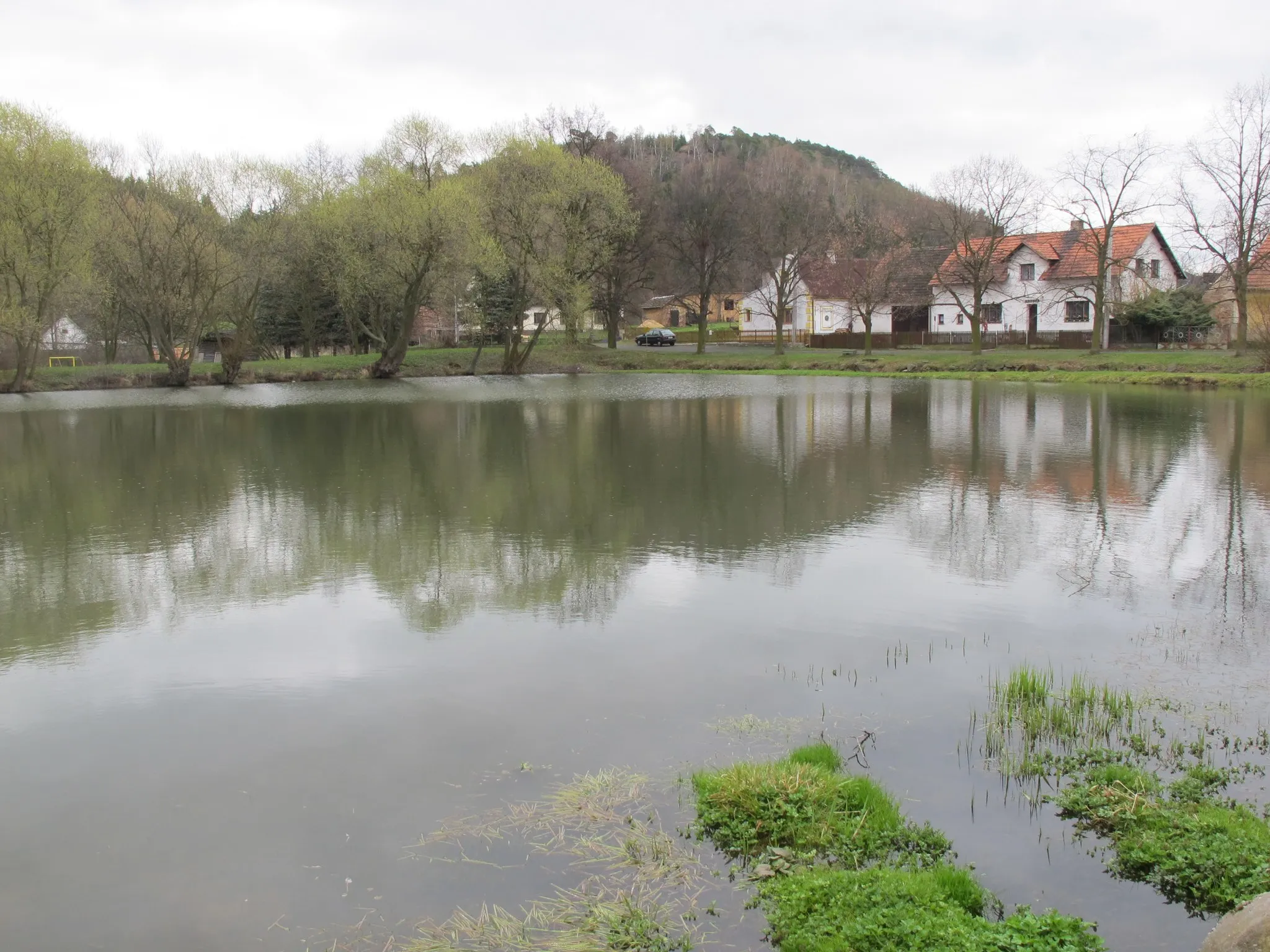 Photo showing: Pond in Ležky