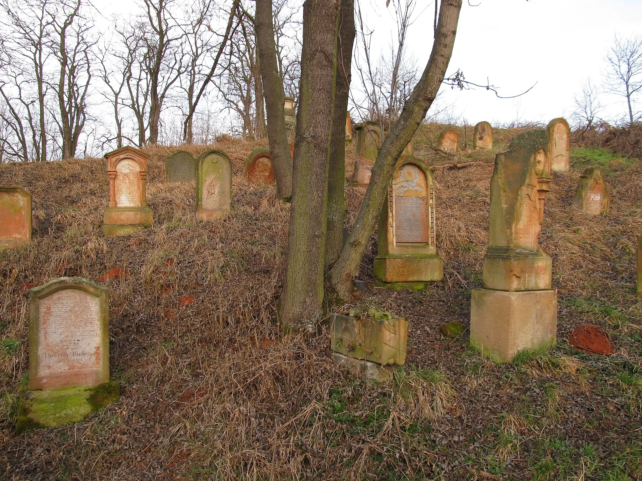 Photo showing: Drahonice - židovský hřbitov