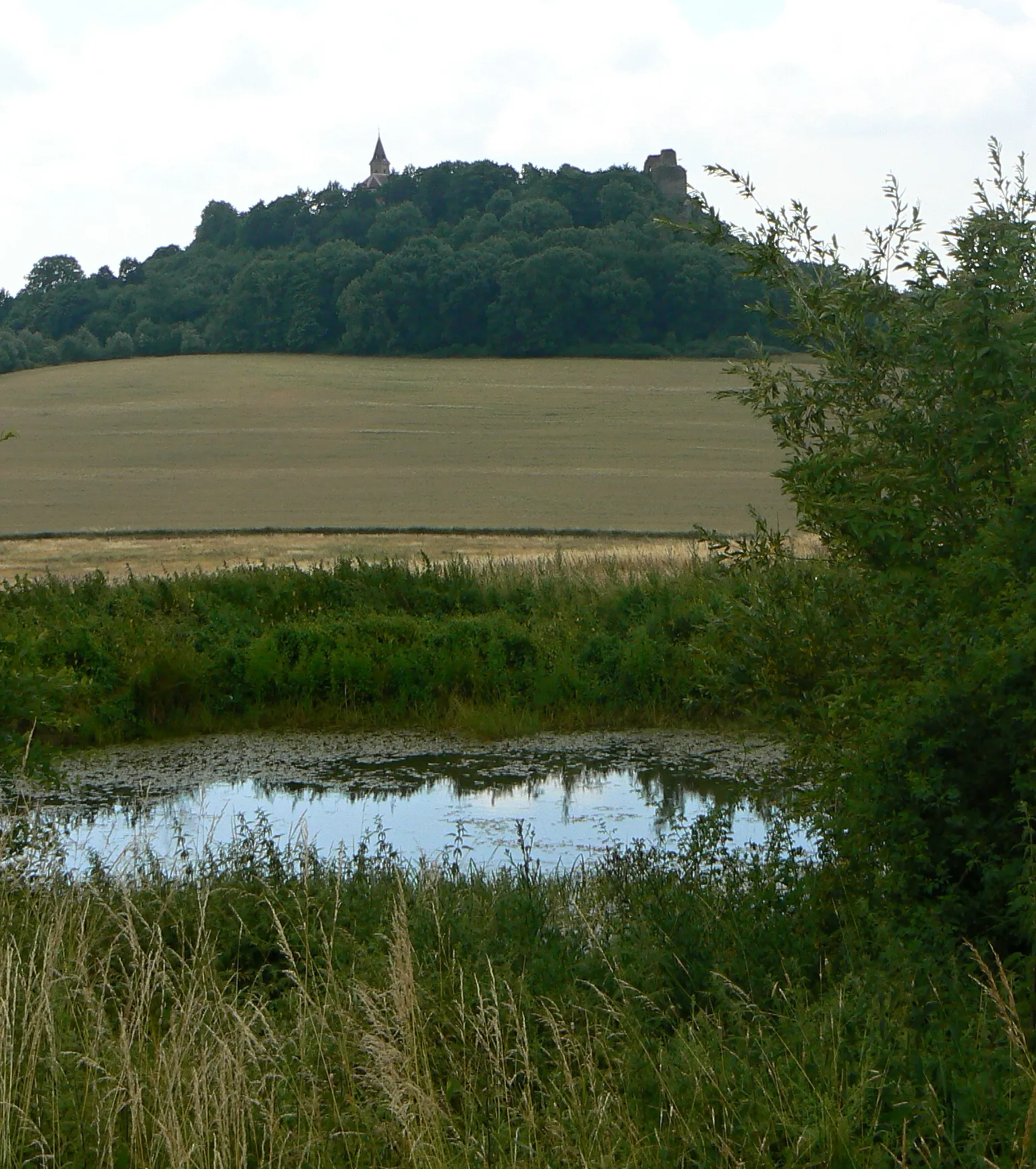 Photo showing: Pond and hill Krasíkov in nature park Hadovka near Kokašice in Tachov District, Czech republic