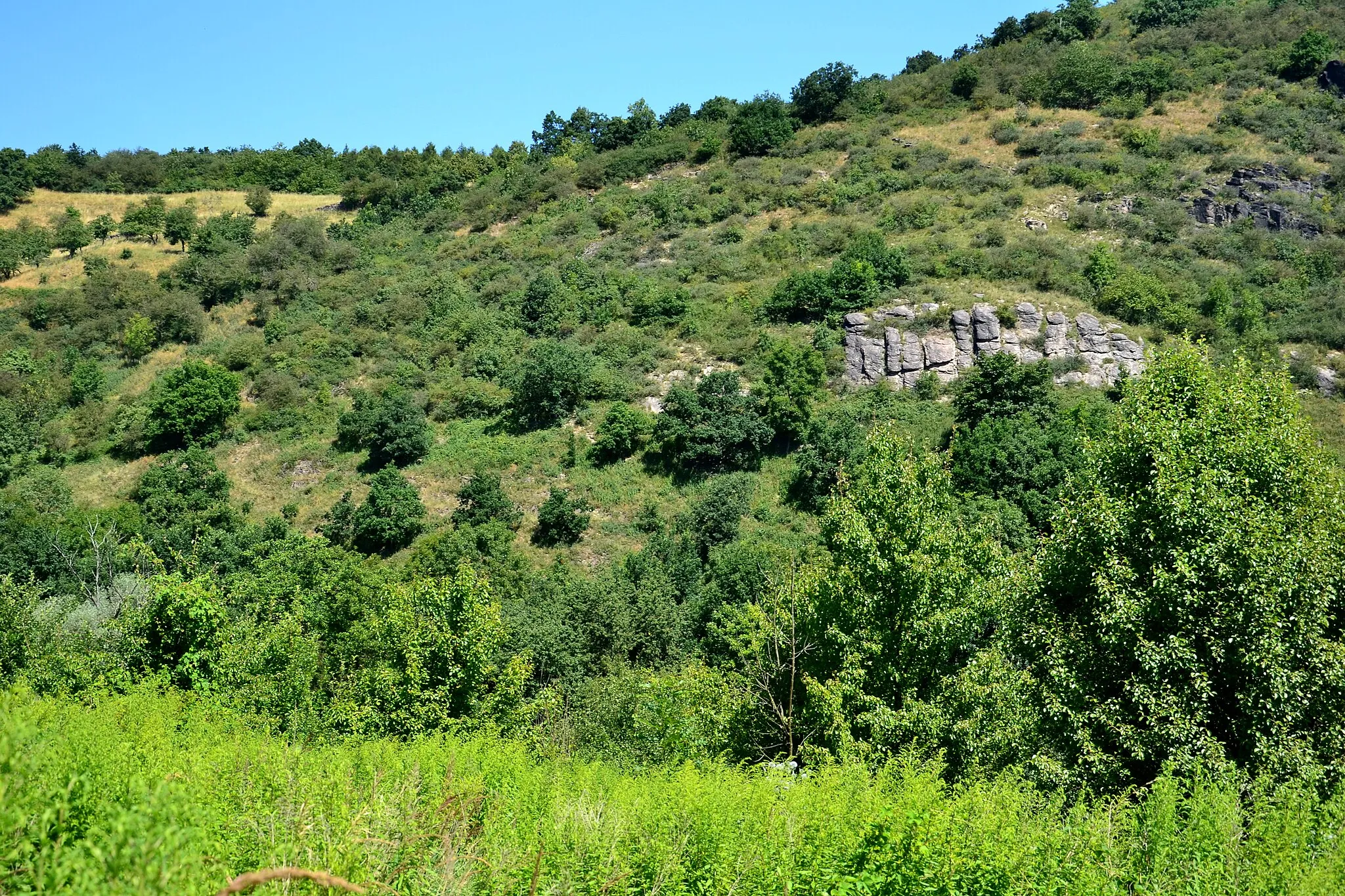 Photo showing: PR Rač z jihu