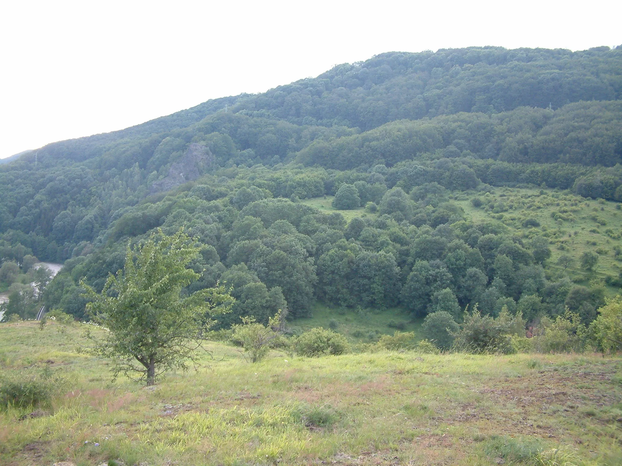 Photo showing: Bočská čedičová žíla 11.7.2004