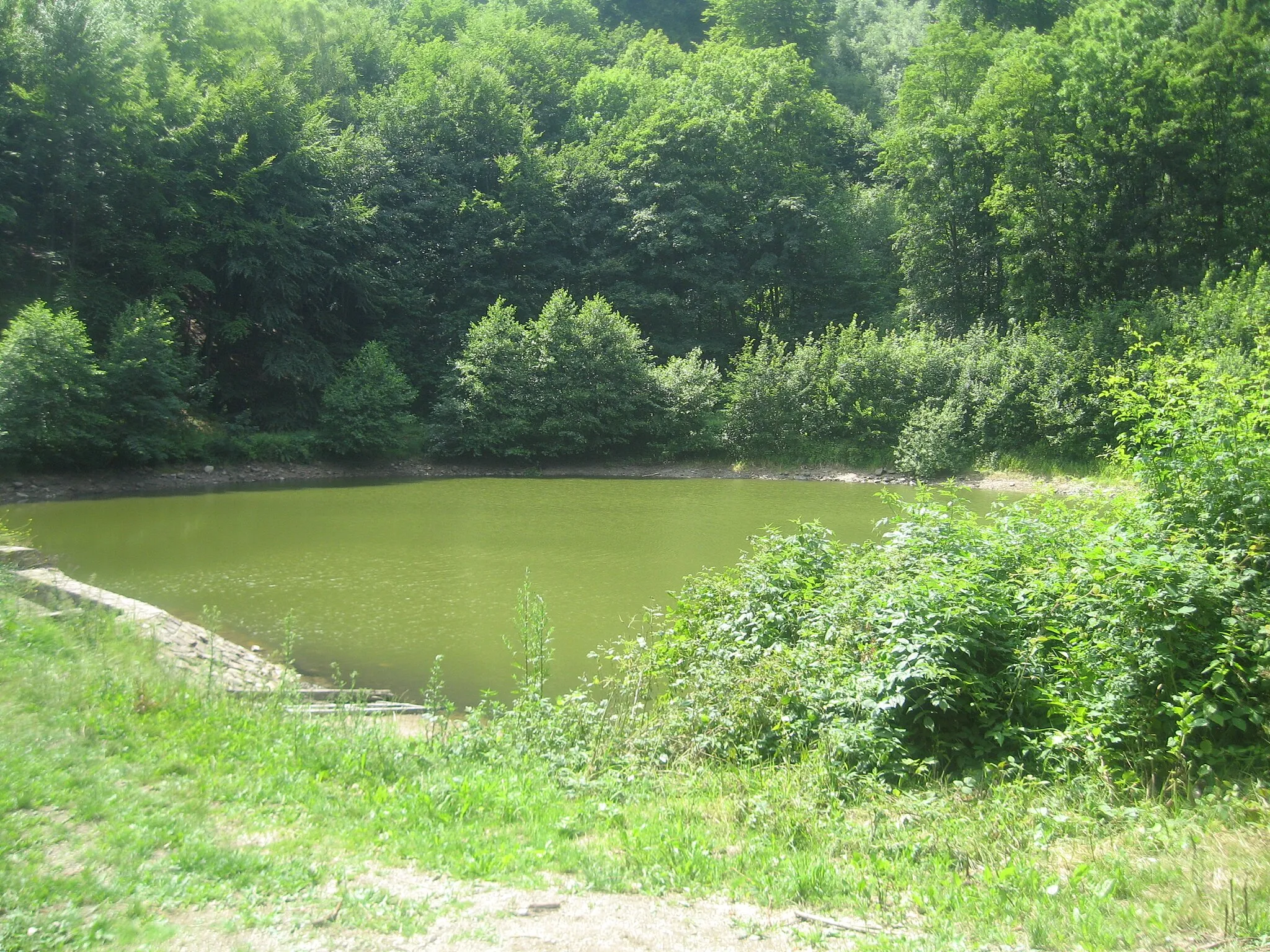 Photo showing: Kotelní rybník near Krupka