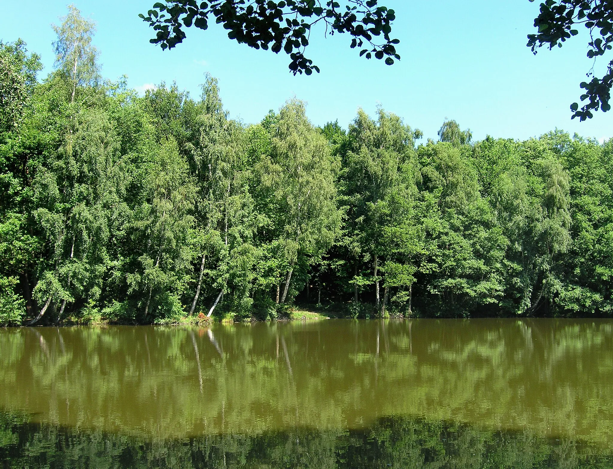 Photo showing: Small pond by Dvojhradí castle in Mstišov, part of Dubí town, Czech Republic