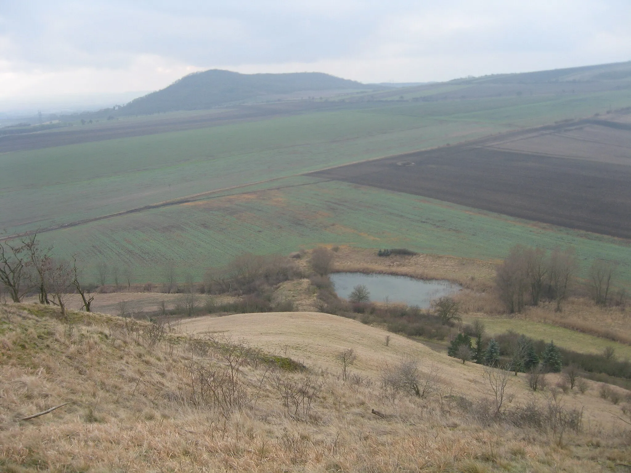 Photo showing: Pond by Třtěno beneath Syslík hill