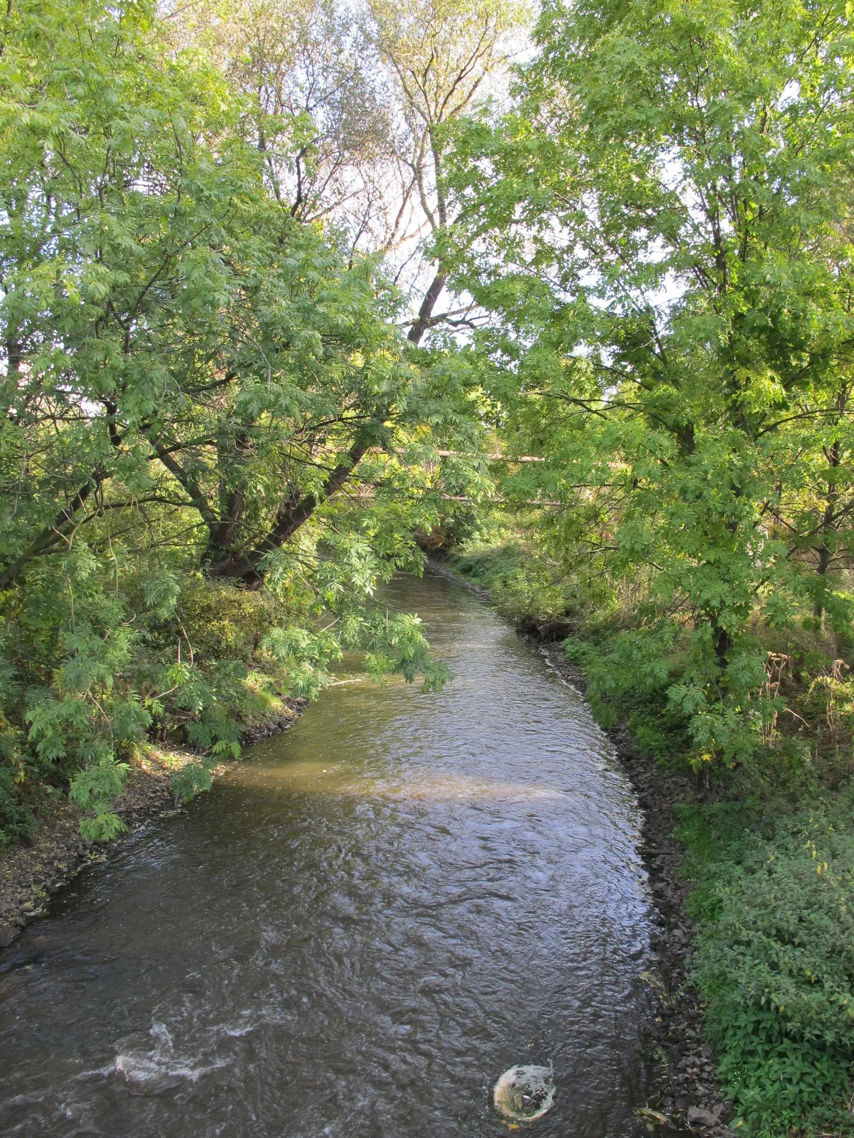 Photo showing: Řeka Bílina v Rudolicích