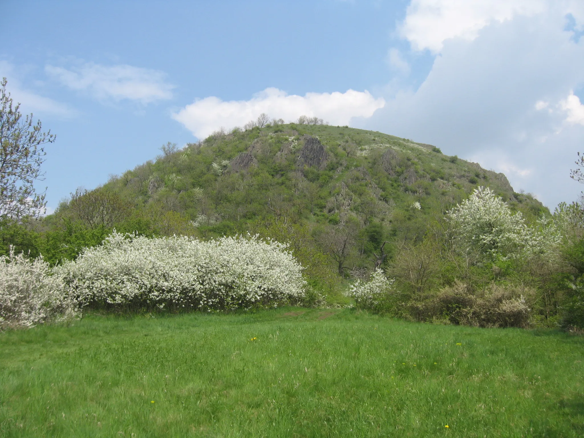Photo showing: Hill Milá from South, Czech Republic