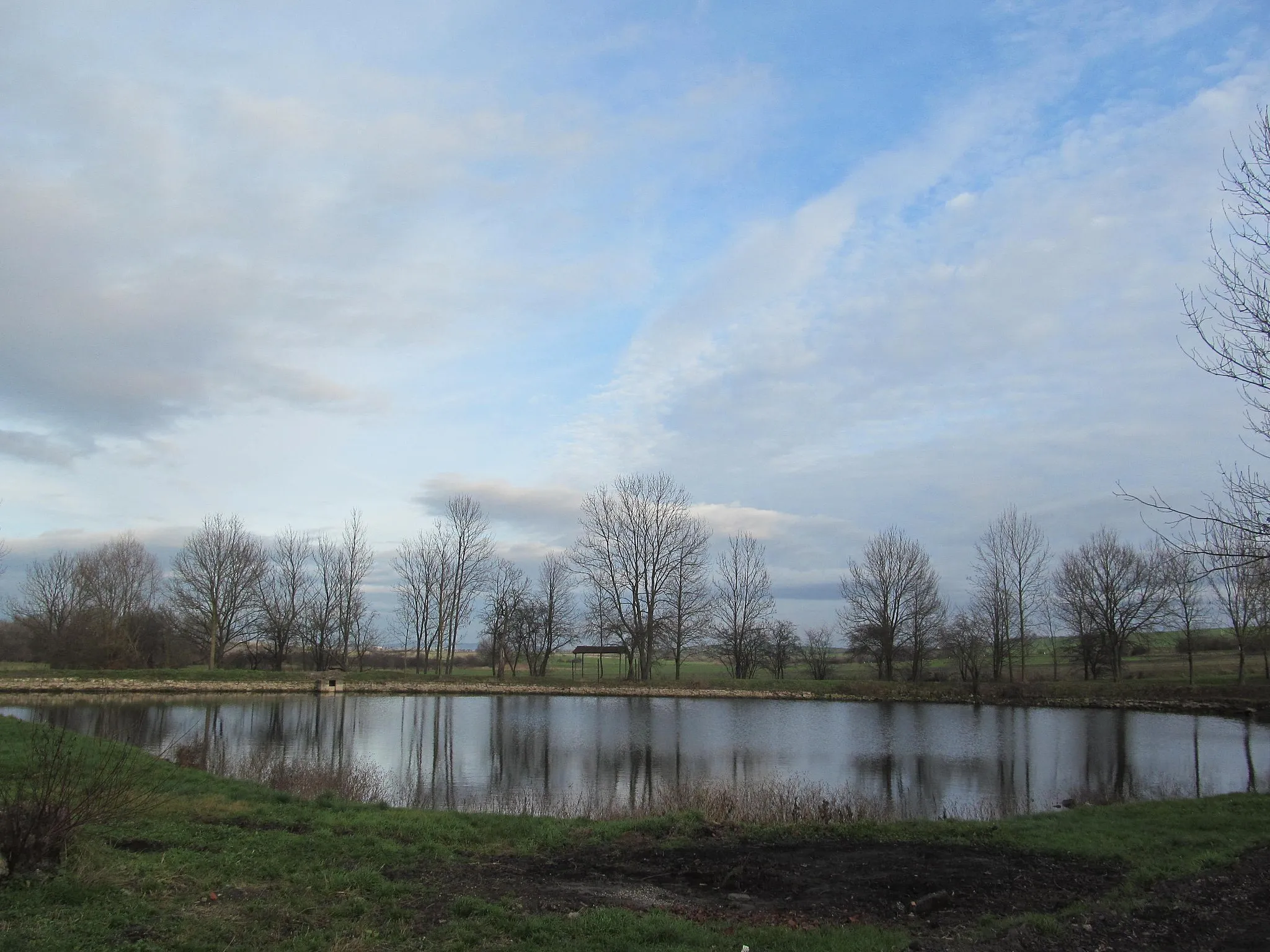 Photo showing: Pond in Drahomyšl