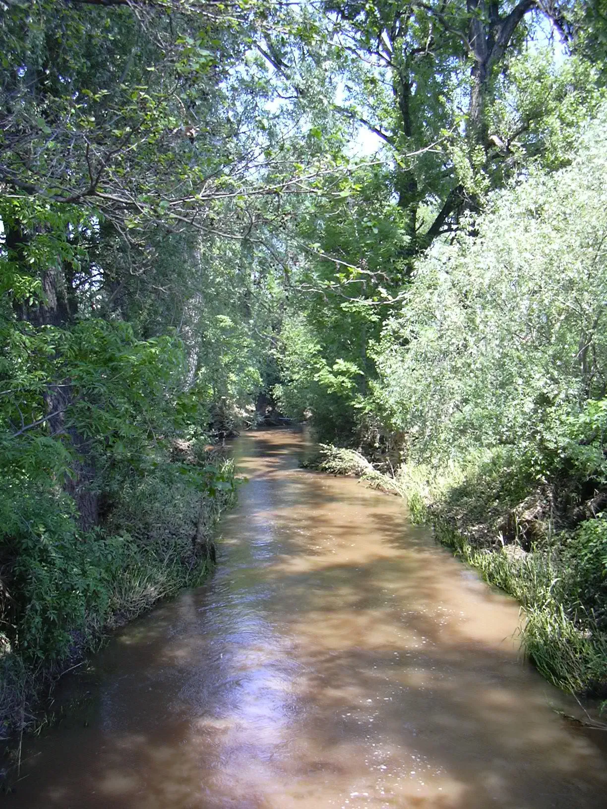 Photo showing: Blšanka river near Stránky, Czech Republic