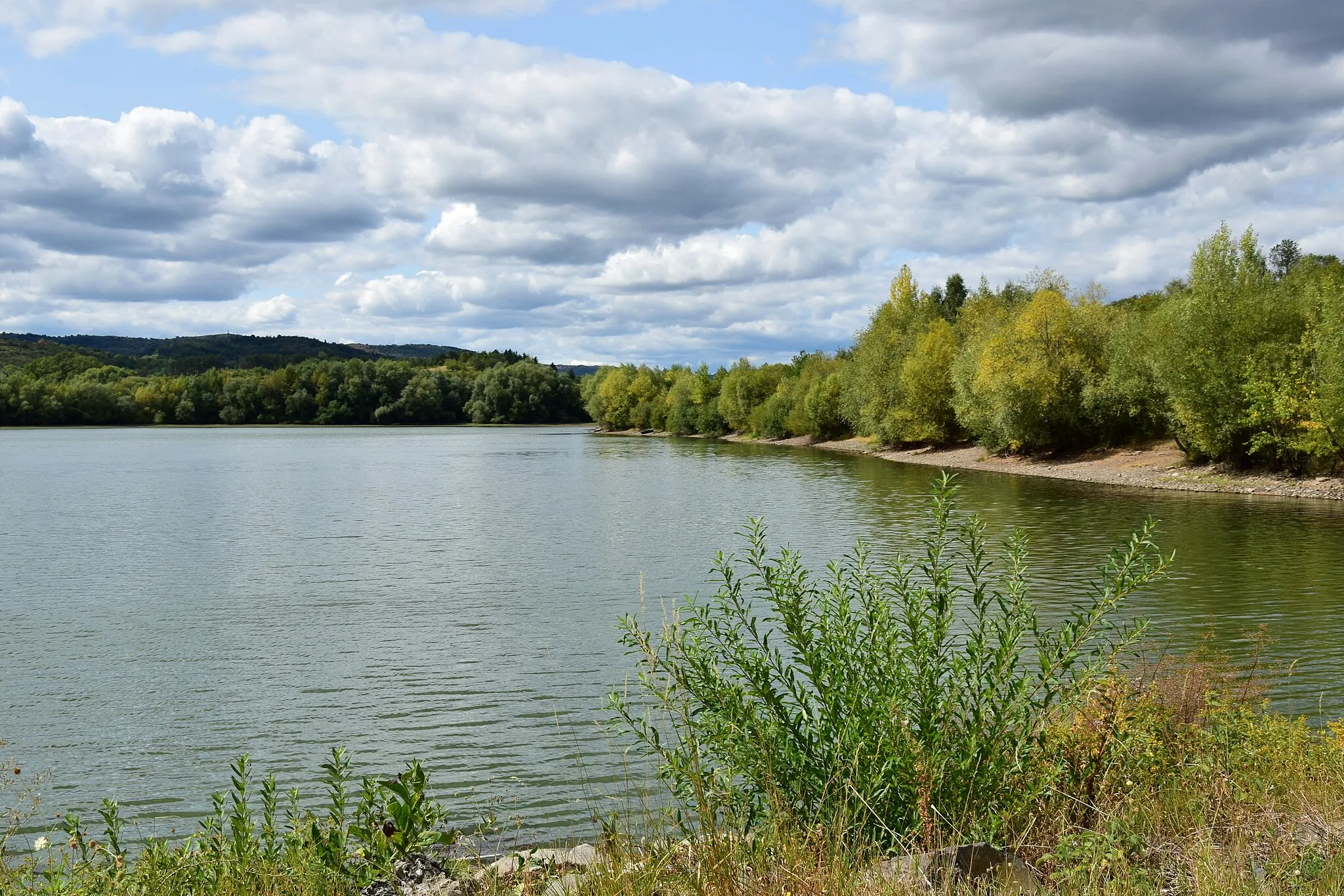 Photo showing: Rybník Sedlec – severní strana