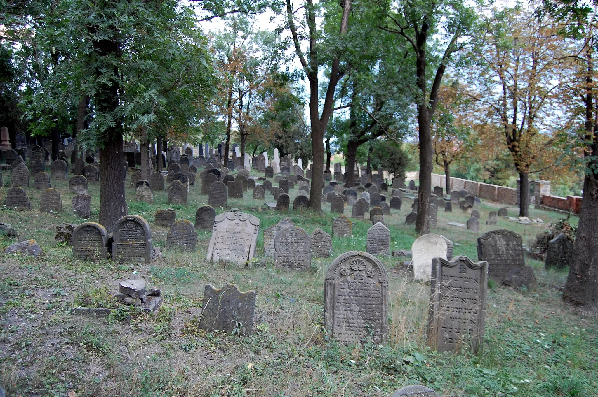 Photo showing: Jewish cemetery in Libochovice, Czech Republic