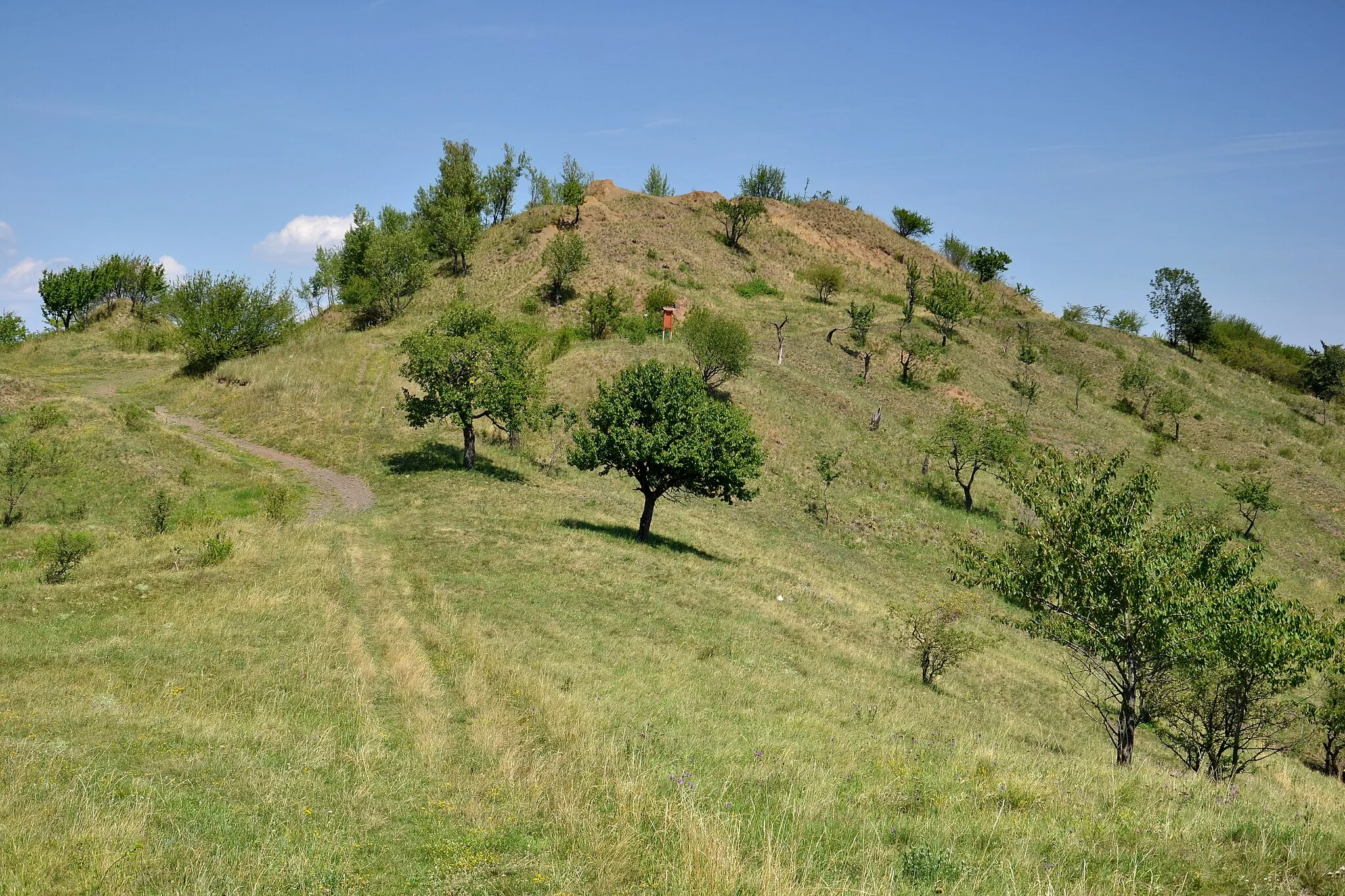 Photo showing: Blšanský chlum – celkový pohled z Malého chlumu na jihozápadě