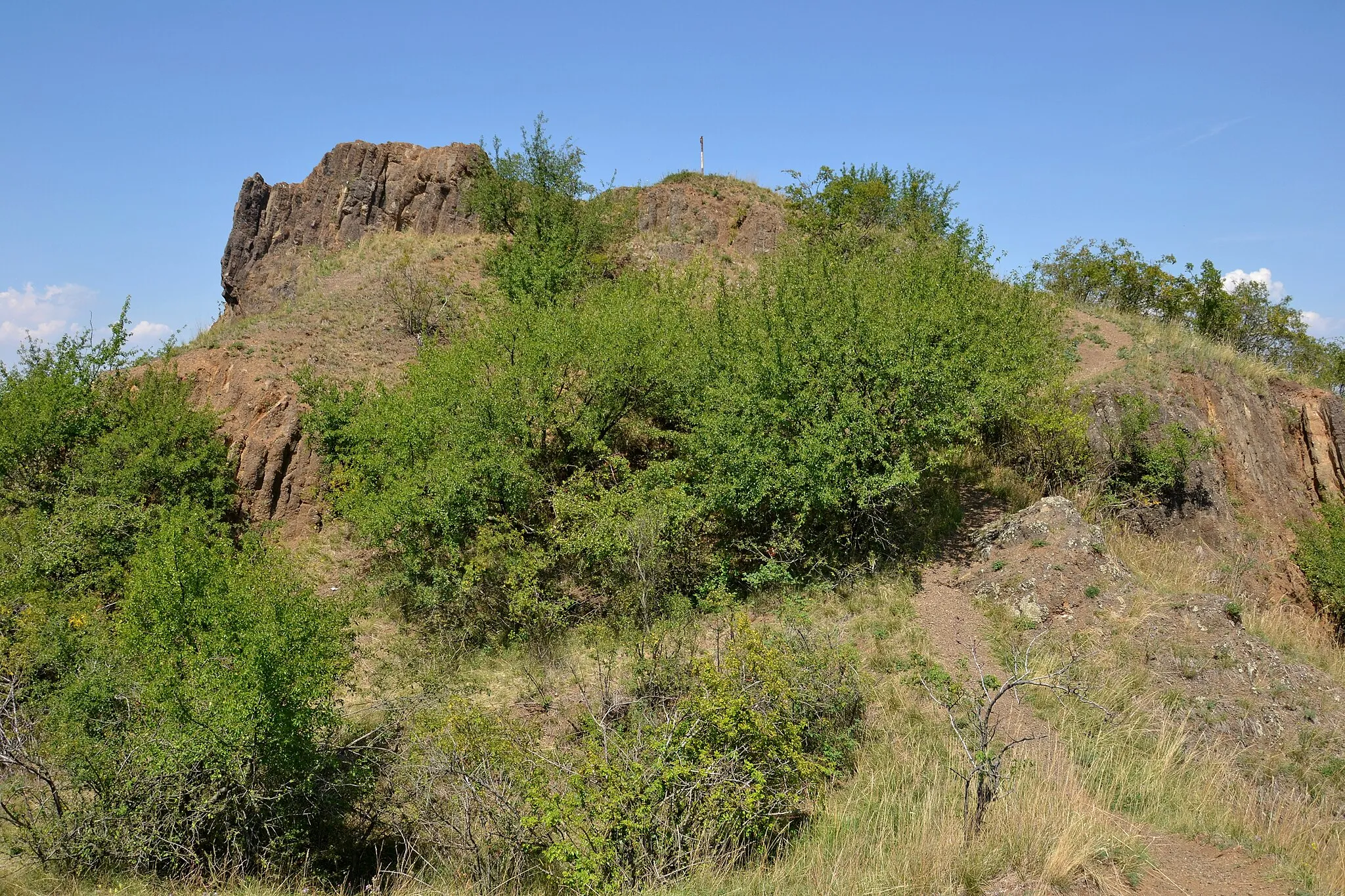 Photo showing: Blšanský chlum – vrcholová část