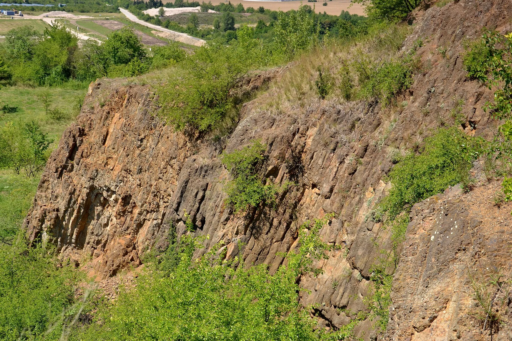 Photo showing: Blšanský chlum – sloupcový rozpad čediče