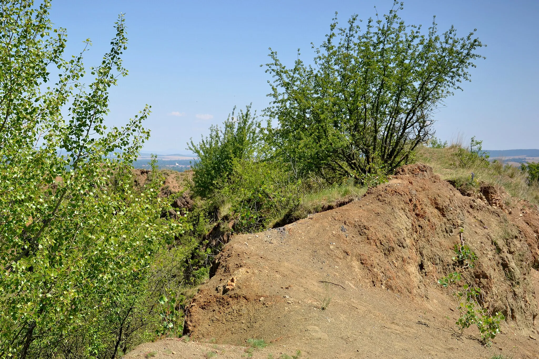 Photo showing: Blšanský chlum – okrajová hrana lomu