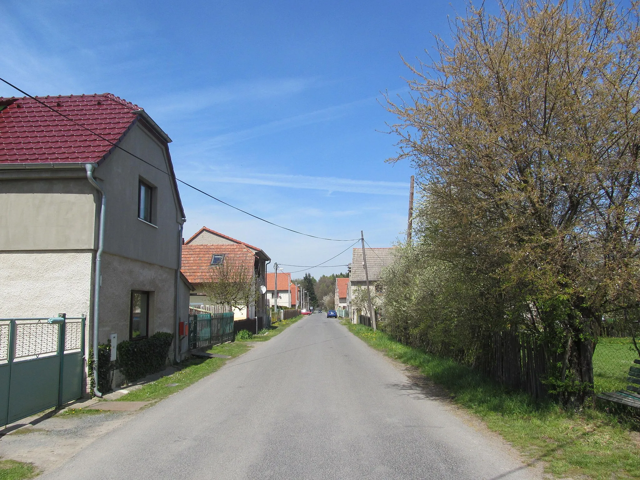 Photo showing: Road in Bor