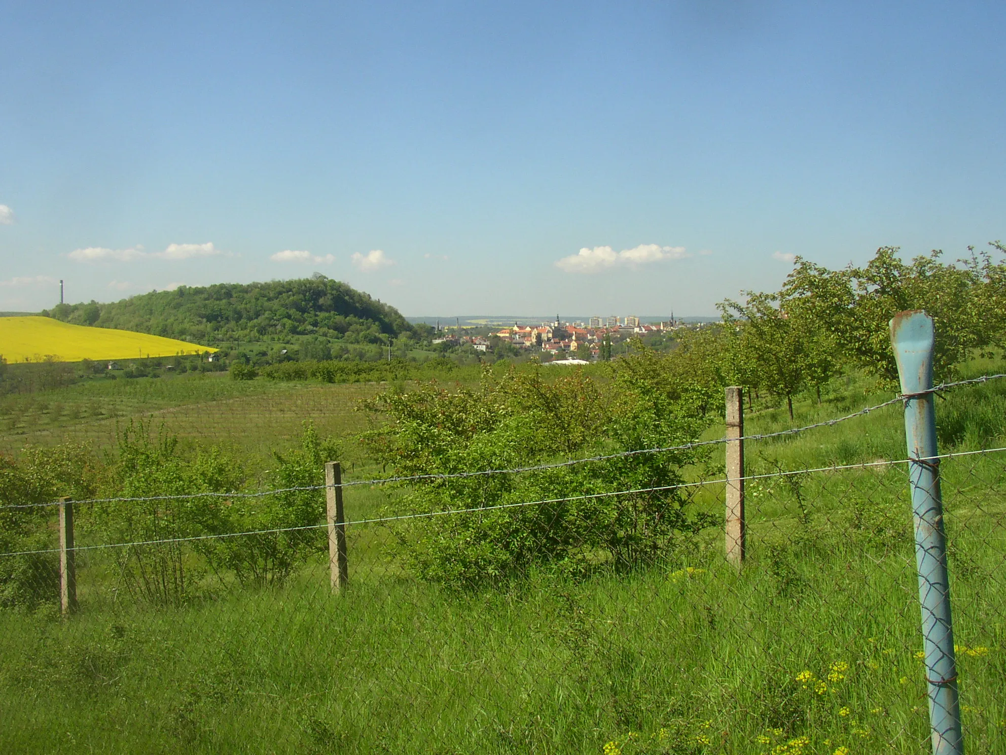 Photo showing: Slánská hora hill in Slaný town, Kladno District, Czech Republic. General view from the NNE.