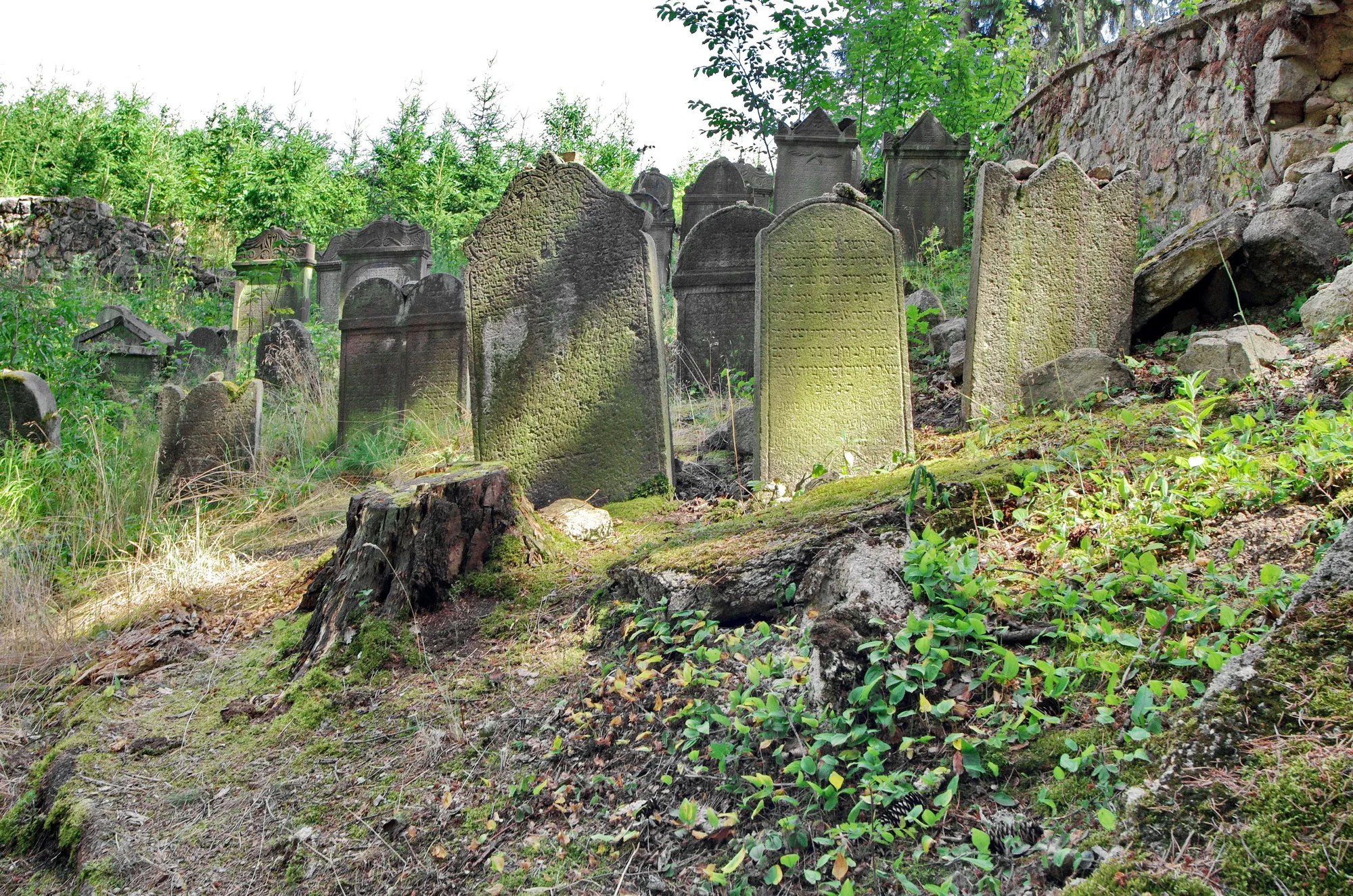 Photo showing: Úbočí (místí část Dolního Žandova), židovský hřbitov, okres Cheb