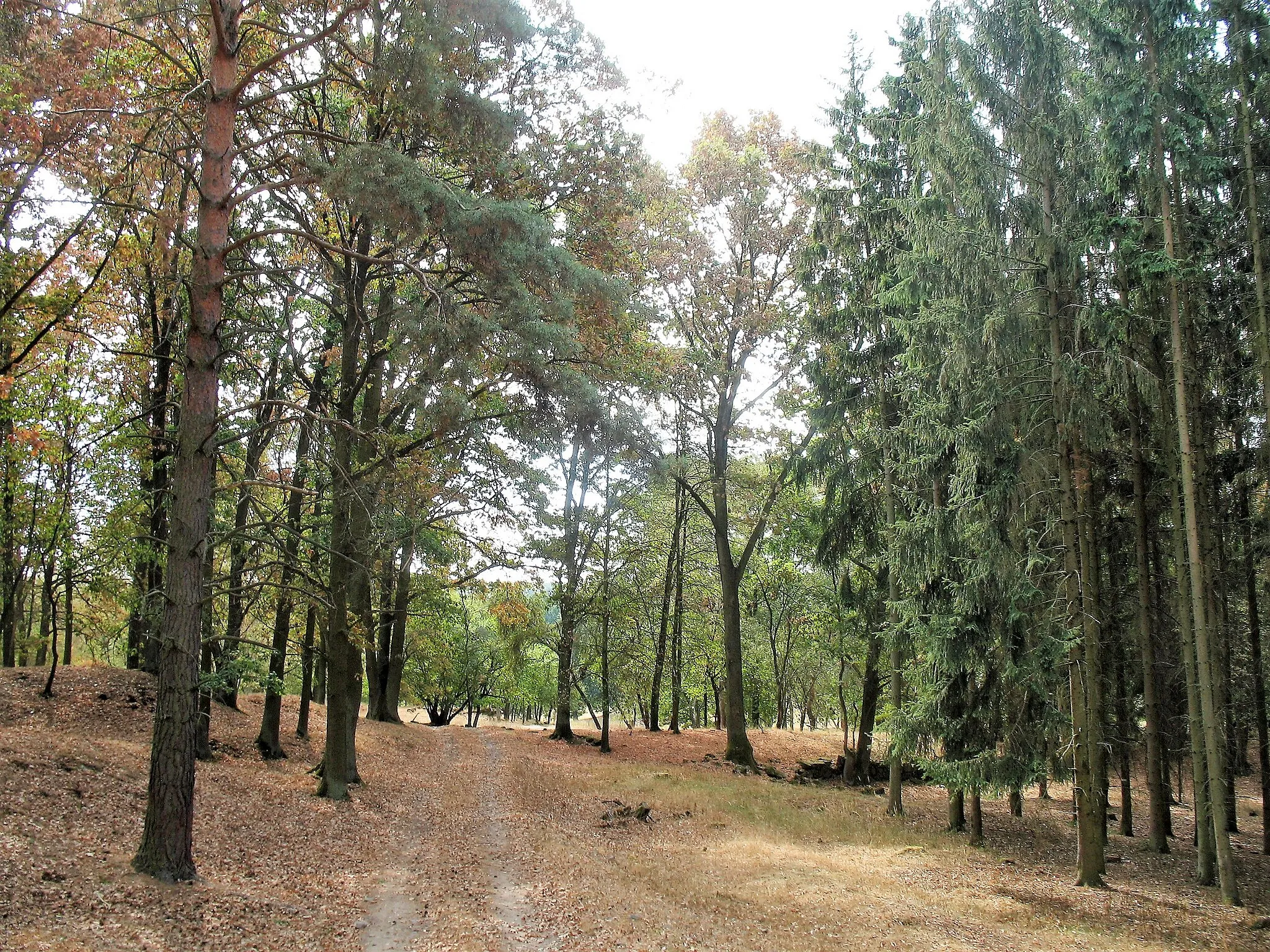 Photo showing: Deer Park Vřísek near Zahrádky (Česká Lípa District), Northern Bohemia