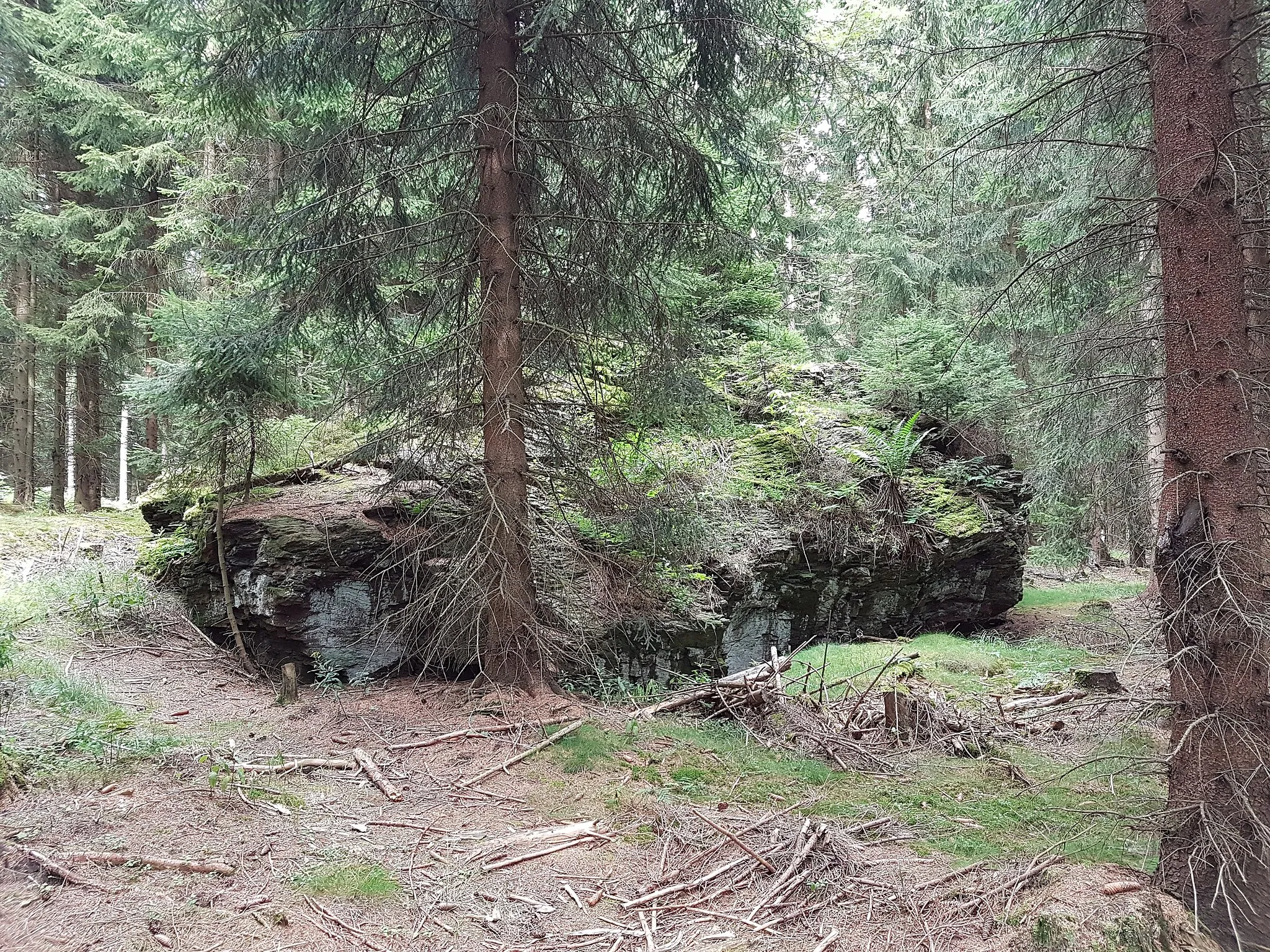 Photo showing: Den höchsten Punkt des Rabenbergs bildet ein Felsen, auf dem sich ein Vermessungspunkt befindet.