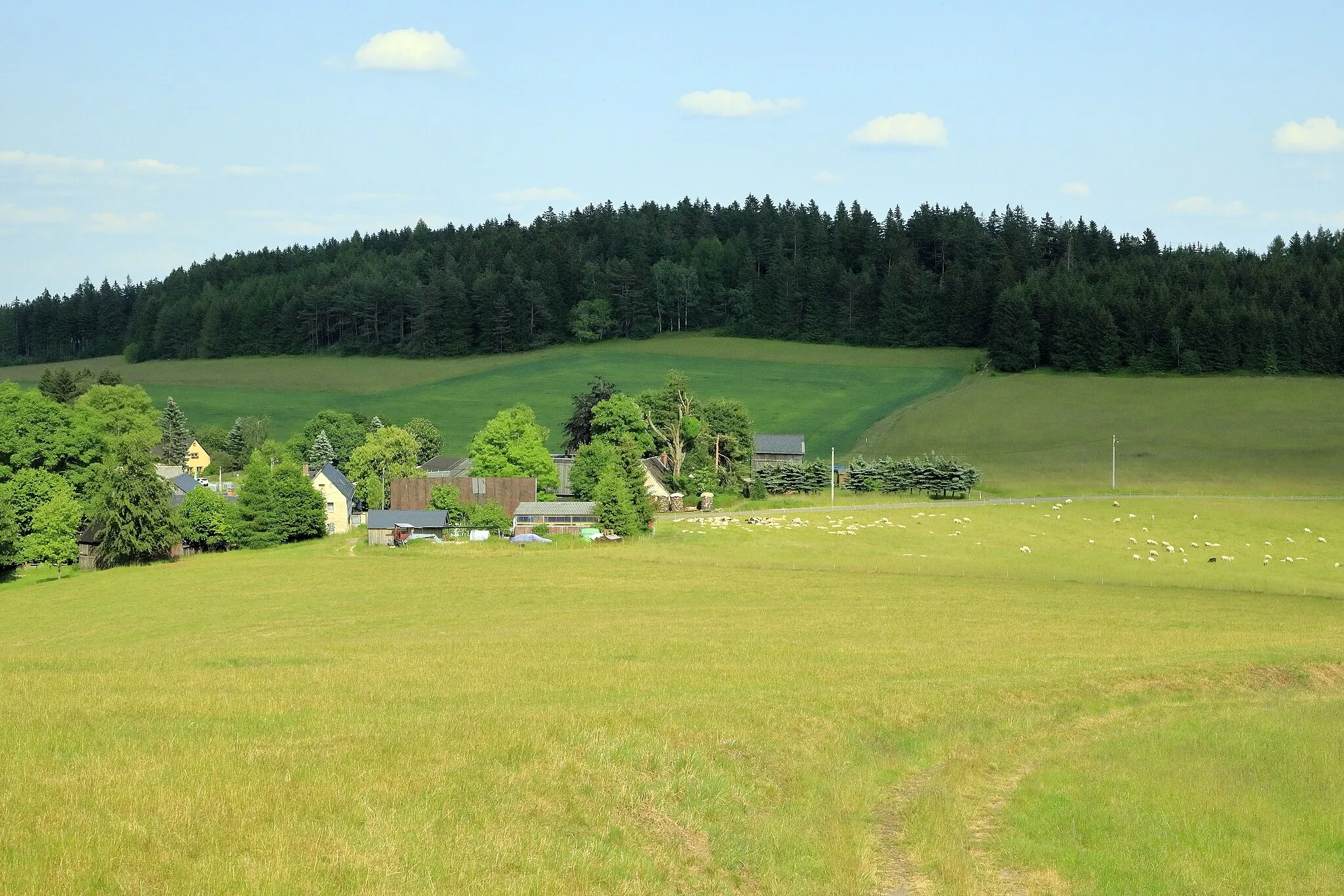 Photo showing: Westlich von Bärendorf vom Weg zur Elsterquelle Richtung Ostsüdost, auf Karten ist die Stelle als Blick vom Richtersberg vermerkt; durch die Bewaldung ist der Kapellenbergturm, der ohnehin nur wenig höher als die umgebenden Bäume ist, von hier aus nicht sichtbar.