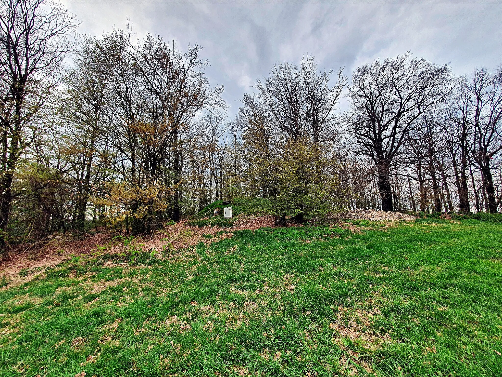 Photo showing: Quetsche (Berg bei Seifhennersdorf)