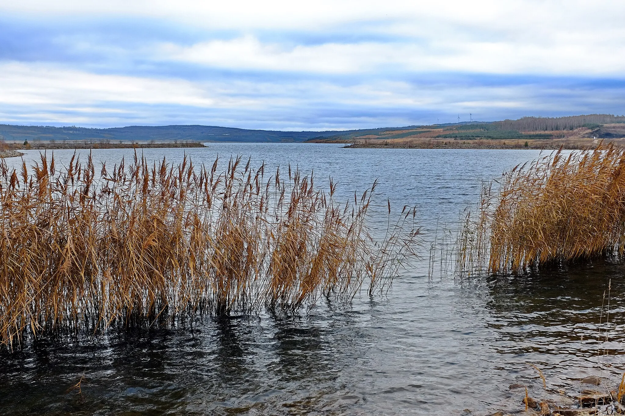 Photo showing: Jezero Medard na Sokolovsku, vzniklé zatopením uhelných lomů Medard a Libík