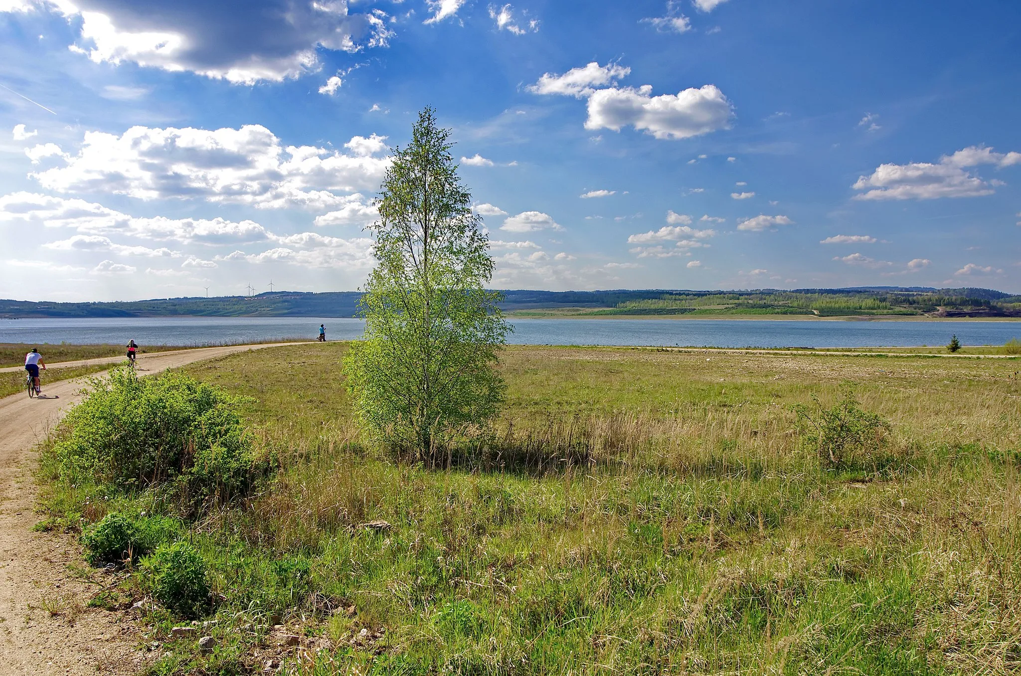 Photo showing: Jezero Medard na Sokolovsku, vzniklé zatopením uhelnýc lomů Medard a Libík