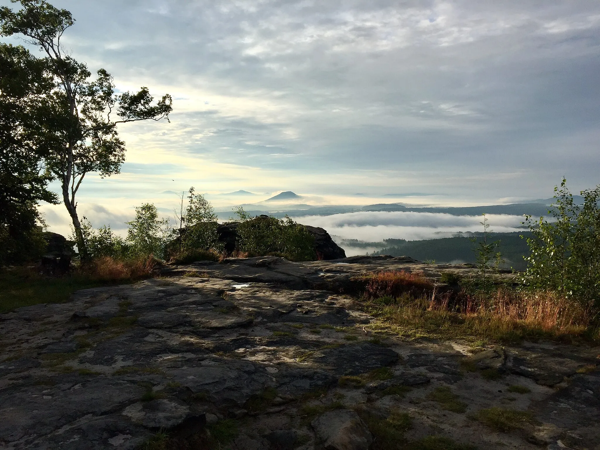 Photo showing: Sonnenaufgang nach regenreicher Nacht im Landschaftsschutzgebiet Sächsische Schweiz.