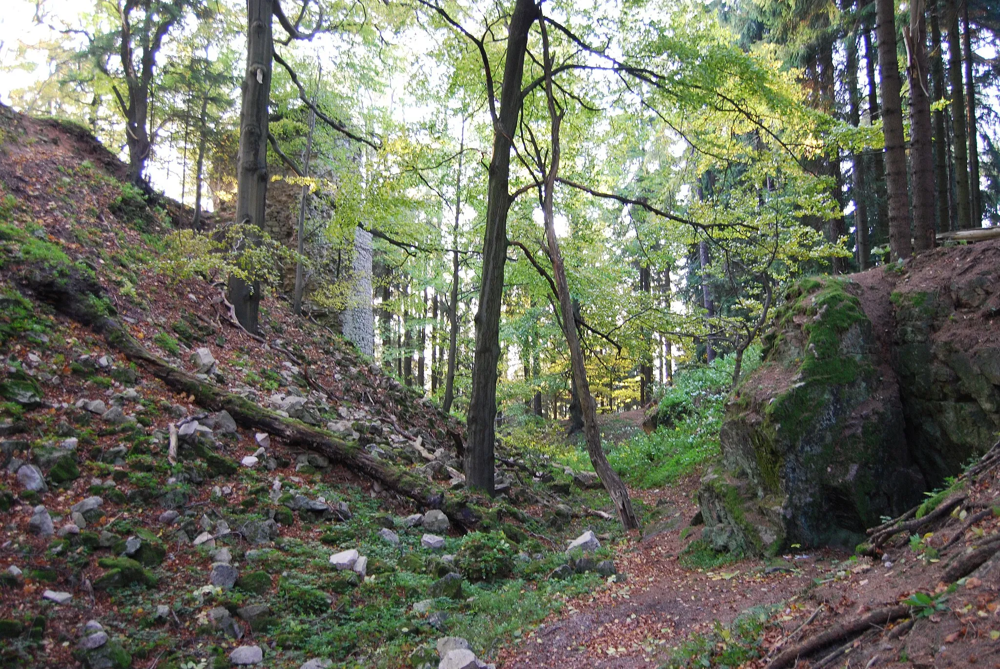 Photo showing: Kynžvart. Zřícenina hradu na pokraji Slavkovského lesa v okrese Cheb.  Asi 1 km severně od obce Lázně Kynžvart. Čechy.