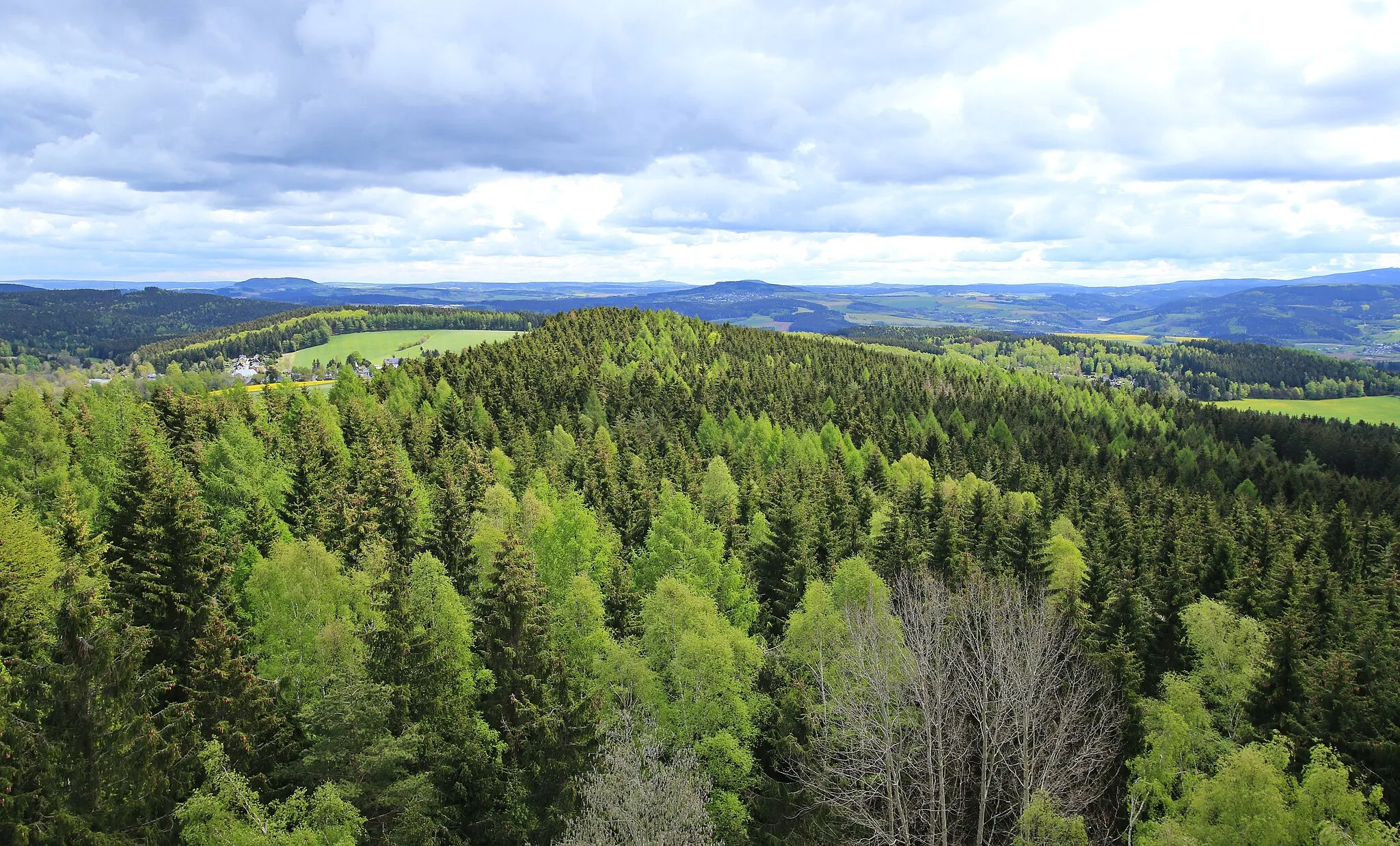 Photo showing: Spiegelwald in Sachsen . Blick vom König-Albert-Turm.