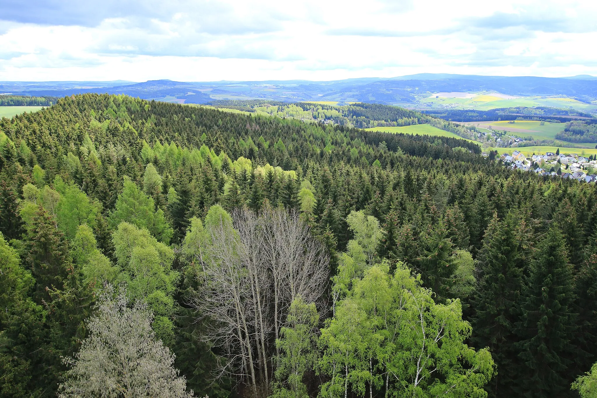 Photo showing: Spiegelwald in Sachsen . Blick vom König-Albert-Turm.