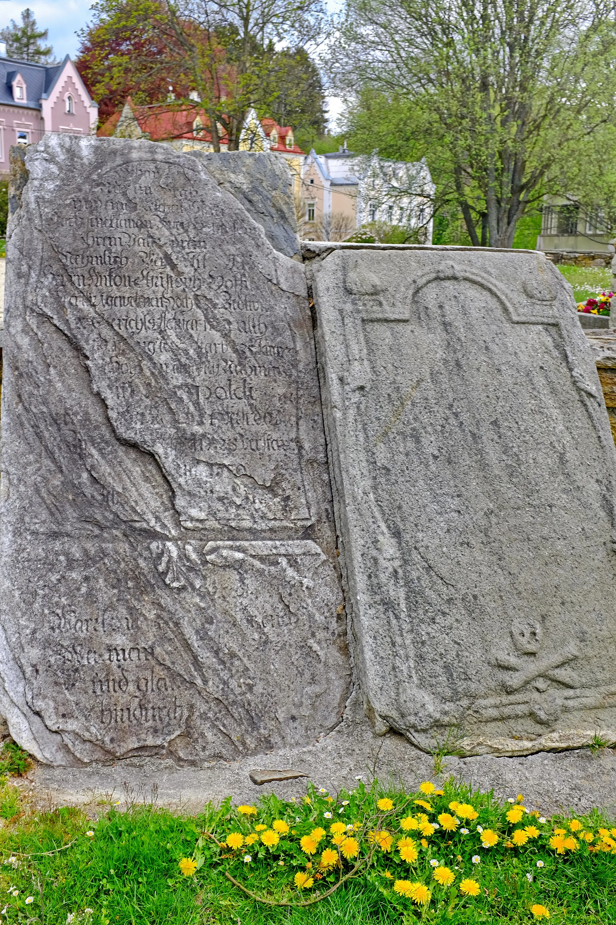 Photo showing: Pozůstatky kostela svaté Trojice v Aši, okres Cheb