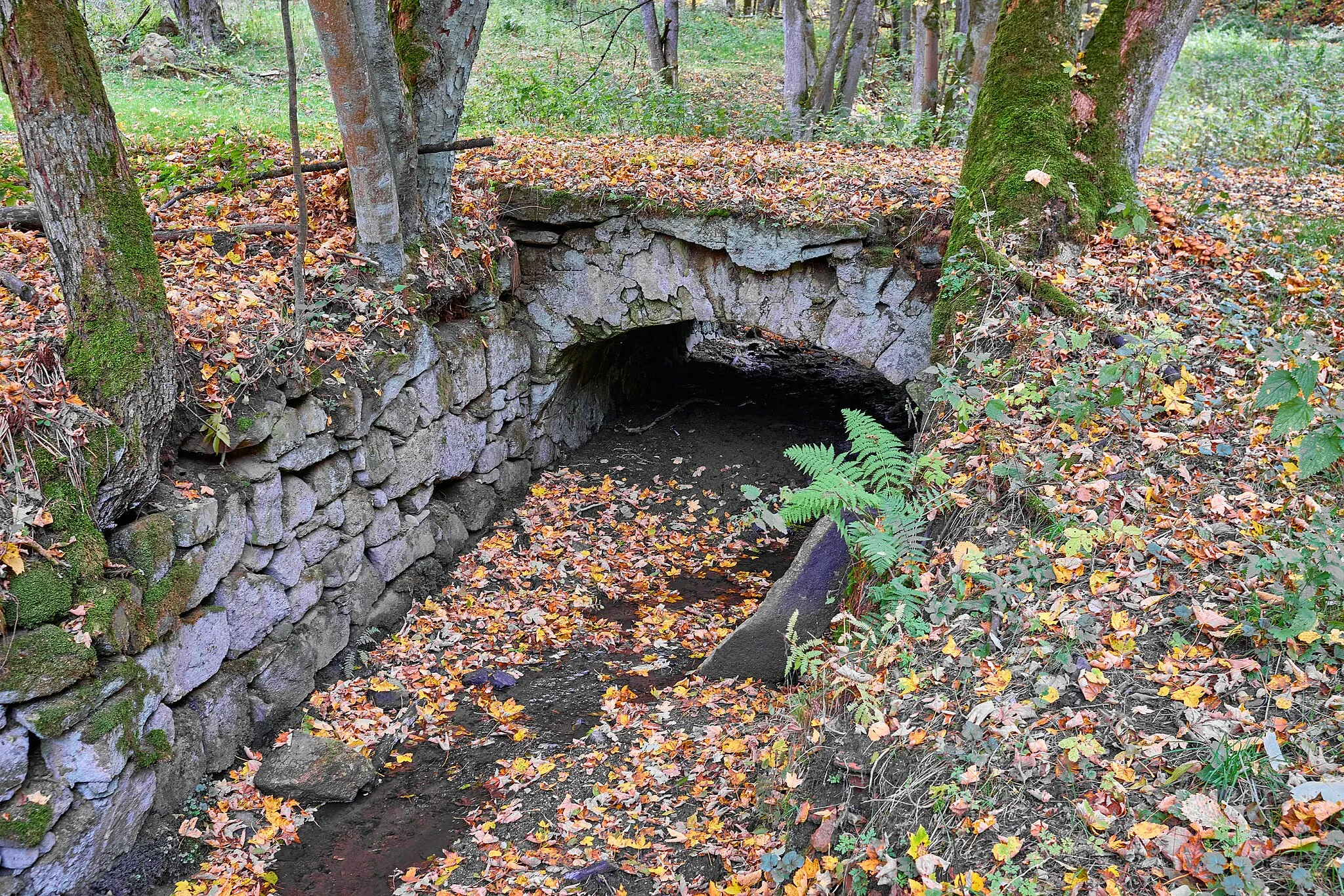 Photo showing: Smrkovec, zaniklá obec ve Slavkovském lese, pozůstatek mostku, okres Sokolov